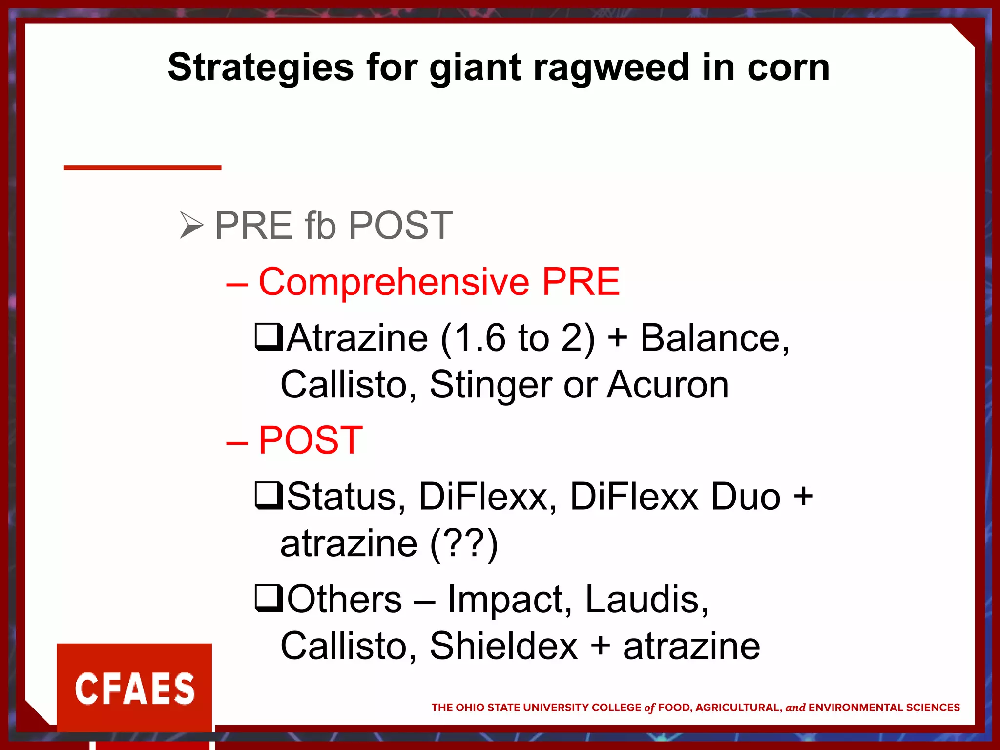Strategies for giant ragweed in corn
 PRE fb POST
– Comprehensive PRE
Atrazine (1.6 to 2) + Balance,
Callisto, Stinger or Acuron
– POST
Status, DiFlexx, DiFlexx Duo +
atrazine (??)
Others – Impact, Laudis,
Callisto, Shieldex + atrazine
 