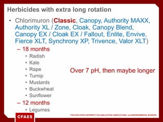 Authority maxx herbicide label