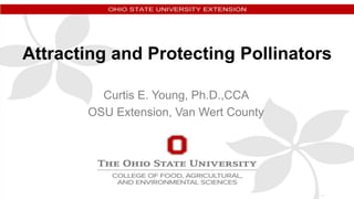 Attracting and Protecting Pollinators
Curtis E. Young, Ph.D.,CCA
OSU Extension, Van Wert County
 