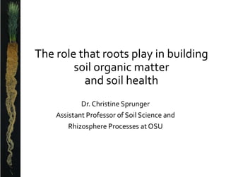 The role that roots play in building
soil organic matter
and soil health
Dr. Christine Sprunger
Assistant Professor of Soil Science and
Rhizosphere Processes at OSU
 