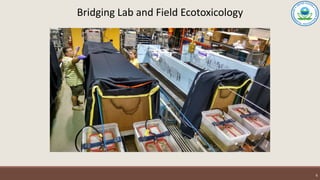 Bridging Lab and Field Ecotoxicology
6
 