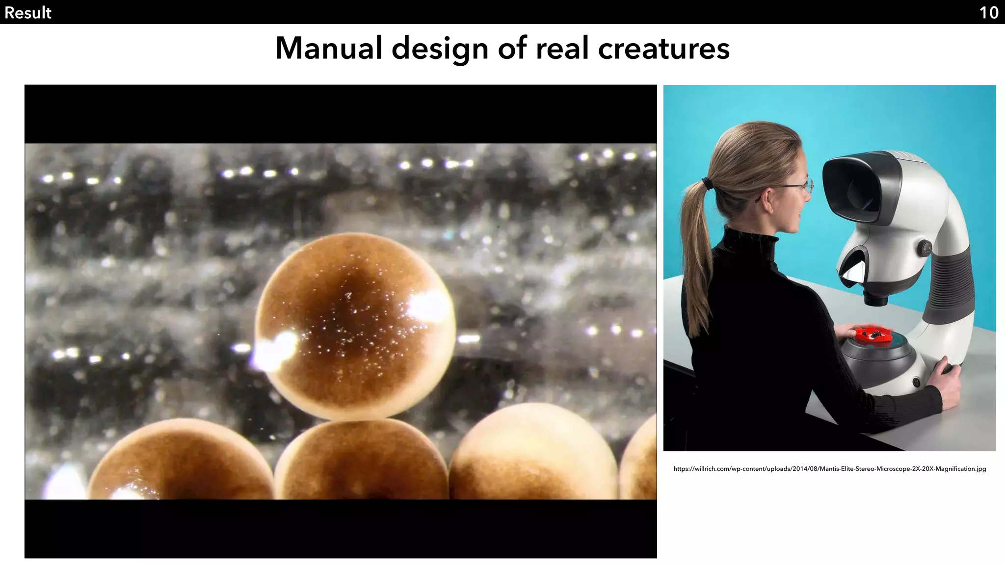 Slide 10