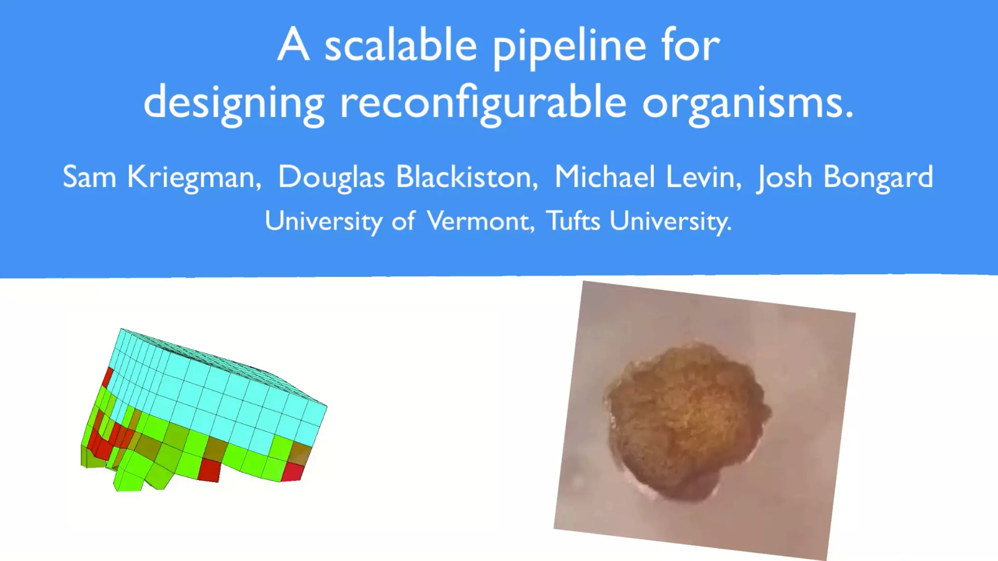 Slide 13
