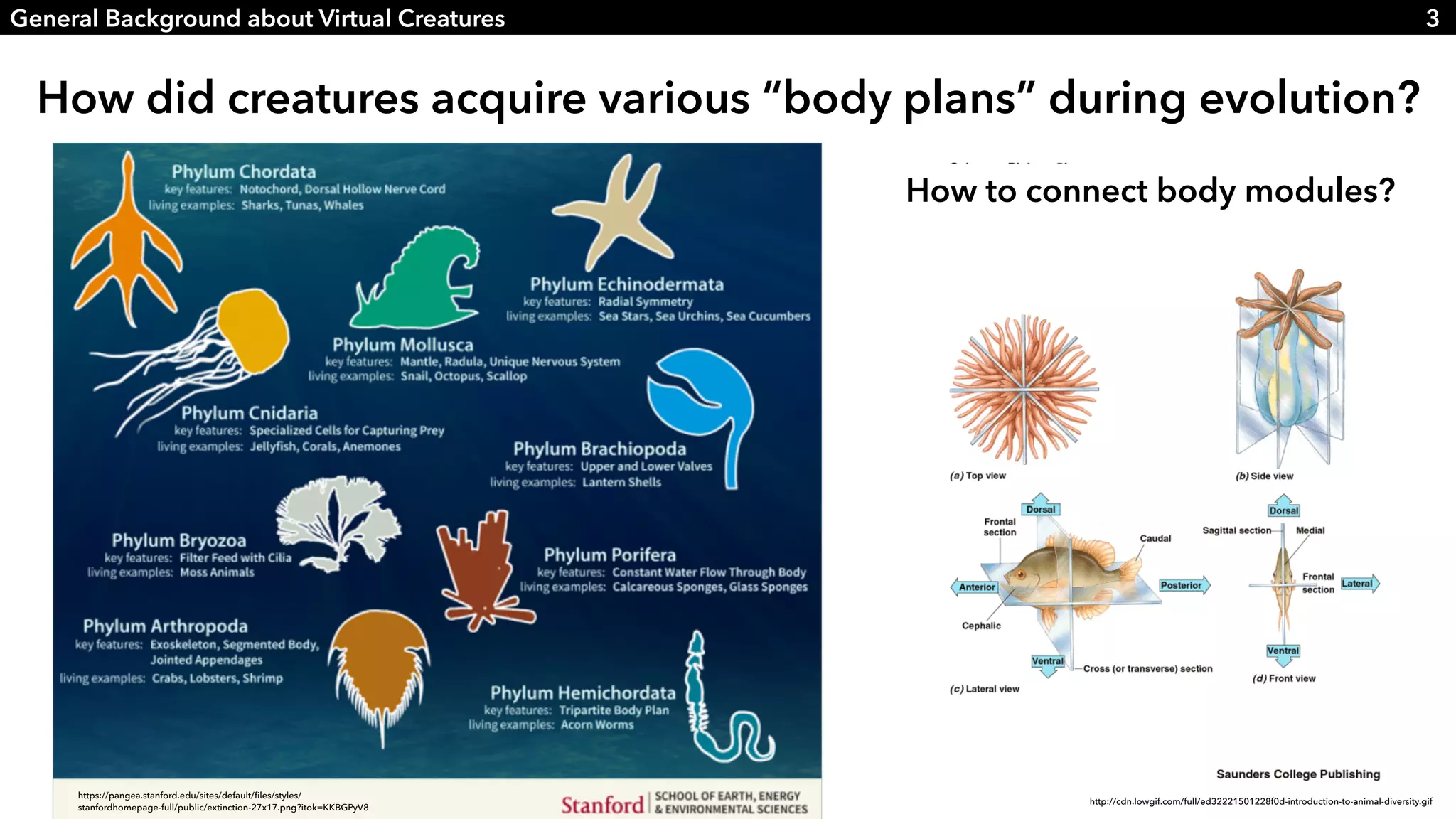 Slide 3