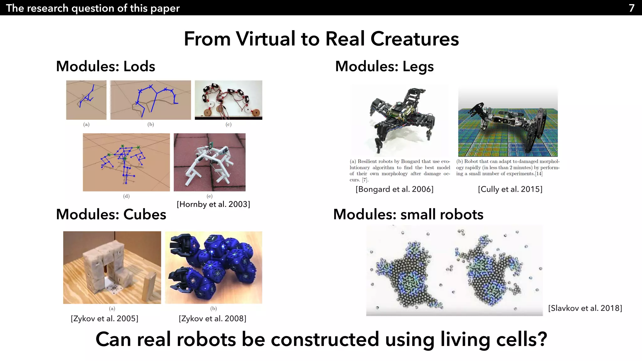 Slide 7