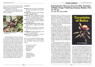 DeArGe Mitteilungen 8(4), 2003                                                                                                                                                    DeArGe Mitteilungen 8(4), 2003
                                                                                                                                         kürzlich publiziert
hayi. Five weeks after the females built the          LITERATUR:                                        Buchrezension: REICHLING, STEVEN B. 2003: Tarantulas
eggsacs they were opened and between 247
and 324 praelarvae were found.                        H UBER , S. ET. AL (1996): Theraphosiden
                                                                                                        of Belize. Krieger Publishing Company, Malabar, Flori-
    Furthermore the author described a pro-              der Welt. Sonderausgabe des Arachn. Mag.,      da. 127 pp.
blem he had with specimen that were infec-               Nürnberg                                       von Dipl. Biol. Boris Striffler
ted with nematodes.                                   KOVARIK, 1998: Sklipkani. Vydalo naklada-
                                                         telstvi Madagaskar. Jihlava.
                                                      SCHMIDT, G. (1993): Vogelspinnen: Lebens-         Das Buch von STEVEN B. REICHLING über
                                                         weise, Bestimmungsschlüssel, Haltung           die gesamten Vogelspinnen des mittelameri-
                                                         und Zucht. Landbuch Verlag, Hannover           kanischen Belize wird sicher eines der Stan-
                                                      SMITH, A. (1986): The Tarantula Classifica-       dardwerke über Vogelspinnen werden.
                                                         tion and Identification Guide. Fitzgerald      R EICHLING vermag es, persönliche Erfah-
                                                         Publishing, London                             rungen im Feld mit wissenschaftlichen Er-
                                                      VERDEZ, J.M. & CLETÓN, F. (2001): Myga-           kenntnissen interessant und für jedermann
                                                         les. Bornemann – Philippe Gérard Éditions,     verständlich darzustellen.
                                                         Paris                                              Ausführlich geht R EICHLING auf die
                                                      VOL, F. (2002): Stridulation in Tarantulas.       Habitate der Vogelspinnen Belizes ein, zu
                                                         British Tarantula Society Journal 18(1): 21-   denen neben Savannen, Nadelwäldern, Se-
                                                         27.                                            kundärwald, Primärwald auch Strandwälder
                                                      VON WIRTH, V. (1996): Vogelspinnen. Gräfe         und Hochland-Nadelwälder zählen. Weiter-
 Thrigmopoeus truculentus, Weibchen.
 Foto: Søren Rafn
                                                         und Unzer Verlag, München                      hin wird ausdrücklich auf die sog. Milpas
                                                      WEBB, A. (1993): Vogelspinnen. Hesselhaus         eingegangen. Dies sind 1-2 ha große gerode-
                                                         und Schmidt Verlag, Münster.                   te Flächen, auf denen die Einheimischen für
    He got Haplopelma smithi from Vietnam                                                               wenige Jahre Zitrusfrüchte, Bananen etc.
via the USA and began to feed them with               BILDNACHWEIS: Soweit nicht anders angege-         anbauen. Danach werden die Milpas wieder
cockroaches. If a specimen did not eat all            ben, stammen die Fotos zu diesem Artikel          der Natur überlassen und vom Wald zurück-
cockroaches in its tank, he puts them out of          von Jean-Michel Verdez und Frédéric               erobert.
the tank an feeds them to another specimen            Cléton.                                               Besonders hervorzuheben sei hier der
in his collection. In this case he fed the T.                                                           Bestimmungsschlüssel, der so aufgebaut ist,
truculentus with these cockroaches. After a              Adressen der Autoren:                          dass man in der Natur, auch ohne Stereomi-
while all of the specimen that had contact               Jean-Michel Verdez                             kroskop, die Vogelspinnen Belizes bestim-            z. B. bei Metriopelma gutzkei (R EICHLING,
with these cockroaches (about 20 specimen)               6 rue Jean Couzy                               men kann. Daran anschließend sind alle               1997), bei der nur ein Männchen, der Holo-
died with the same symptoms. He found out                62800 Lievin                                   Arten Belizes detailliert beschrieben. Neben         typ, anhand dessen die Art beschrieben wur-
that the wildcaught H. schmidti were infected            Frankreich                                     einer kurzen Beschreibung von Männchen               de, bekannt ist. Diese Vogelspinne ist nur
with nematodes and the cockroaches got the                                                              und Weibchen werden auch ähnliche Arten              durch einen einzigen Eintrag auf der Ver-
nematodes into the tanks of the non-infec-               Frédéric Cléton                                und die Unterschiede zu diesen aufgezählt.           breitungskarte repräsentiert, dagegen sind
ted T. truculentus. The final advice has to be           1 rue Jules Siegfried                              Die Charakterisierung des Habitats und           Brachypelma vagans (AUSSERER , 1875) oder
to keep wildcaught specimen at quarantine                02100 Saint-Quentin                            die Verbreitung der Vogelspinnen werden              Crassicrus lamanai REICHLING & WEST, 1996
before integrating them in the collection.               Frankreich                                     zusätzlich durch Verbreitungskarten visuali-         mit vielen Fundorten auf den Karten vertre-
                                                                                                        siert (leider ist die Beschriftung von Guate-        ten. Alle eingezeichneten Fundorte der in
                                                                                                        mala und Mexiko vertauscht worden). Aus              Belize vorkommenden Arten sind in einem
                                                                                                        den Karten ist meist auch schon die Häufig-          Gazetteer (geografisches Register) nach Ar-
                                                                                                        keit der beschriebenen Art abzusehen, so             ten geordnet aufgeführt, mit Museum, priva-
                                                 26                                                                                                     27
 