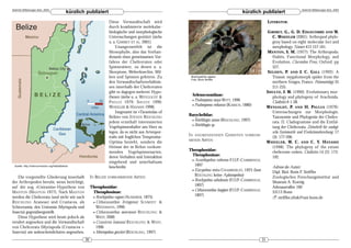 DeArGe Mitteilungen 8(4), 2003                                                                                                                                                          DeArGe Mitteilungen 8(4), 2003
                                               kürzlich publiziert                                                                          kürzlich publiziert
                                                                       Diese Verwandtschaft wird                                                                LITERATUR:
                                                                       durch kombinierte molekular-
                                                                       biologische und morphologische                                                           GIRIBET, G., G. D. EDGECOMBE AND W.
                                                                       Untersuchungen gestützt (siehe                                                               C. WHEELER (2001): Arthropod phylo-
                                                                       u. a. GIRIBET ET AL. 2001).                                                                  geny based on eight molecular loci and
                                                                            Unangezweifelt ist die                                                                  morphology. Nature 413 157-161.
                                                                       Monophylie, also das Vorhan-                                                             MANTON, S. M. (1977): The Arthropoda:
                                                                       densein eines gemeinsamen Vor-                                                               Habits, Functional Morphology, and
                                                                       fahres der Cheliceraten oder                                                                 Evolution. Clarendon Press, Oxford. pp
                                                                       Spinnentiere, zu denen u. a.                                                                 527.
                                                                       Skorpione, Weberknechte, Mil-                                                             S ELDEN , P. AND J. C. G ALL (1992): A
                                                                       ben und Spinnen gehören. Zu          Brachypelma vagans                                      Triassic mygalomorph spider from the
                                                                                                            Foto: Boris Striffler
                                                                       den Verwandtschaftsverhältnis-                                                               northern Vosges, France. Palaeontology 35
                                                                       sen innerhalb der Cheliceraten                                                               211-235.
                                                                       gibt es dagegen mehrere Hypo-                                                            S HULTZ , J. W. (1990): Evolutionary mor-
                                                                       thesen (siehe u. a. WEYGOLDT &        Selenocosmiinae:                                       phology and phylogeny of Arachnida.
                                                                       PAULUS 1979; S HULTZ 1990;            • Psalmopoeus maya WITT, 1996                          Cladistics 6 1-38.
                                                                                                             • Psalmopoeus reduncus (KARSCH, 1880)
                                                                       WHEELER & HAYASHI 1998).                                                                 W EYGOLDT, P. AND H. PAULUS (1979):
                                                                            Insgesamt ist »Tarantulas of                                                            Untersuchungen zur Morphologie,
                                                                       Belize« von STEVEN REICHLING        Barychelidae:                                            Taxonomie und Phylogenie der Chelice-
                                                                                                            • Reichlingia annae (REICHLING, 1997)
                                                                       jedem ernsthaft interessierten                                                               rata. II. Cladogramme und die Entfal-
                                                                                                            • Reichlingia sp.
                                                                       Vogelspinnenhalter ans Herz zu                                                               tung der Chelicerata. Zeitschrift für zoologi-
                                                                       legen, da es nicht aus Artenpor-                                                             sche Systematik und Evolutionsforschung. 17
                                                                       traits mit fraglichen Temperatur-   IN    ANGRENZENDEN       G EBIETEN   VORKOM -
                                                                                                                                                                    (3): 177-200.
                                                                       Optima besteht, sondern die         MENDE    ARTEN:                                      W HEELER , W. C. AND C. Y. H AYASHI
                                                                       Heimat der in Belize vorkom-                                                                 (1998). The phylogeny of the extant
                                                                       menden Vogelspinnenarten,           Theraphosidae:                                           chelicerate orders. Cladistics 14 (2): 173-
                                                                       deren Verhalten und Interaktion      Theraphosinae:                                          192.
                                                                                                            • Acanthopelma rufescens F.O.P.-CAMBRIDGE,
                                                                       eingehend und unterhaltsam
                                                                       beschreibt.                            1897
 Quelle: http://interconnection.org/habitatbelize
                                                                                                                                                                    Adresse des Autors:
                                                                                                            • Eurypelma stoica CHAMBERLIN, 1925 (laut
                                                                                                                                                                    Dipl. Biol. Boris F. Striffler
    Die vorgestellte Gliederung innerhalb                   IN BELIZE VORKOMMENDE ARTEN:                      REICHLING keine Aphonopelma)
                                                                                                                                                                    Zoologisches Forschungsinstitut und
                                                                                                            • Brachypelma sabulosum (F.O.P.-CAMBRIDGE,
der Arthropoden beruht, wenn berichtigt,                                                                                                                            Museum A. Koenig
auf der sog. »Uniramia«-Hypothese von                       Theraphosidae:                                    1897)
                                                                                                                                                                    Adenauerallee 160
                                                                                                            • Citharacanthus longipes (F.O.P.-CAMBRIDGE,
MANTON (MANTON 1977). Nach MANTON                            Theraphosinae:                                                                                         53113 Bonn
werden die Chelicerata (und nicht wie nach                   • Brachypelma vagans (AUSSERER, 1875)
                                                                                                              1897)
                                                                                                                                                                    ! striffler.zfmk@uni-bonn.de
R EICHLING Araneae) und Crustacea, als                       • Citharacanthus livingstoni S CHMIDT &
Schizoramia, den Uniramia (Myriapoda und                       WEINMANN, 1996;
Insecta) gegenübergestellt.                                  • Citharacanthus meermani R EICHLING &
    Diese Hypothese wird heute jedoch als                      WEST, 2000
veraltet angesehen und die Verwandtschaft                    • Crassicrus lamanai R EICHLING & W EST ,
von Chelicerata (Myriapoda (Crustacea +                        1996
Insecta)) am wahrscheinlichsten angesehen.                   • Metriopelma gutzkei (REICHLING, 1997)

                                                       30                                                                                                  31
 