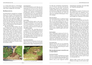 DeArGe Mitteilungen 8(5), 2003                                                                                                                                              DeArGe Mitteilungen 8(5), 2003



7:1 (7 Teile meiner Erde zu 1 Teil Dünger).         LICHTSPEKTRUM:                                 Vor allem die verschiedenen Aquarienleuch-         Schwankungen unterliegen, die an die Höhe
Hornmehl ist am Anfang etwas geruchsin-             Für die Photosynthese ist der blaue bis rote   ten (z. B. Triton), mit denen ich sehr gute        der Temperatur gekoppelt sind.
tensiv, dieser verfliegt aber recht schnell.        Spektralbereich (von 475 nm bis 700 nm)        Erfahrungen gemacht habe, sind hier zu
                                                    von Bedeutung. Er wird von den meisten         erwähnen. Wenn man die Leuchtstoffröhren           TEMPERATUR:
DIE BELEUCHTUNG:                                    Aquarien- und Terrarien-Leuchtstoffröhren      auf die Becken auflegt (60'er Fassung deckt        Die Temperatur in unseren Terrarien ist im
                                                    gut abgedeckt, während z. B. Glühlampen        zwei 30 cm breite Becken ab), kann sich            Wesentlichen dem Tier angepasst. Sie be-
Die Beleuchtung ist eigentlich der wichtigste       im Wesentlichem den roten Spektralbereich      sogar eine zusätzliche Beheizung der Terra-        wegt sich im Mittel etwa um 23-28°C. Die
Faktor für ein gutes Pflanzenwachstum.              (ansteigend bis 750 nm) abdecken und des-      rien erübrigen.                                    Pflanzen, die ich hier vorschlagen werde,
Eine Pflanze wächst auch in schlechtem Bo-          wegen weniger für einen gesunden Pflan-                                                           sind bezüglich der Temperatur recht flexibel.
den, sicher nicht so gut und üppig, aber            zenwuchs geeignet erscheinen.                  HALOGEN SPOTS:
ohne Licht ist kein Wachstum möglich. Ich                                                          Zur Verwendung dieser Leuchkörper liegen           SUBSTRAT-FEUCHTIGKEIT:
möchte hier nicht näher auf die chemischen          LICHTFARBE:                                    mir i. M. noch zu wenige Daten vor, denn           Diese richtet sich ebenfalls nach den Be-
Prozesse der Photosynthese und der Assimi-          Bei Leuchtstoffröhren gibt es viele unter-     diese Art der Beleuchtung ist bei mir z. Z.        dürfnissen unserer Tiere, ob sie z. B. tro-
lation eingehen, kann aber einen kleinen            schiedliche Lichtfarben. Es ist im wesentli-   noch in Beobachtung bezüglich des Abstan-          ckenheitsliebend sind oder ein eher feuchtes
Tipp zur Feststellung der Beleuchtungsstär-         chen Geschmacksfrage, ob ein kalter oder       des des Leuchtkörpers zum Terrarium, Tem-          Milieu bevorzugen. Die Wasserhärte des
ke und -intensität geben:                           ein warmer Lichtton verwendet wird. Für        peratur, Lichtfarbe, Wachstum der einzelnen        Gies- oder Sprühwassers ist hier eher uner-
    Wird die grüne Pflanze blasser, bzw. die        einen guten Pflanzenwuchs ist beides glei-     Pflanzen etc.! Aussagekräftige Ergebnisse          heblich und äußert sich nur in den lästigen
bunte Pflanze grün und die Internodien              chermaßen geeignet.                            hierzu werden vielleicht später noch veröf-        Kalkflecken auf den Scheiben oder Blättern.
(Stängelabschnitte zwischen zwei Knoten)                Von Schwarz-, Rot-, oder Blau-Licht, im    fentlicht.                                         Nur langfristig findet eine chemische Verän-
immer länger, sprich die Pflanze vergeilt,          Gedanken an eine nächtliche Beobachtung                                                           derung im Bodengrund statt (pH-Wert Än-
sollte man die Dauer der Beleuchtung an-            der Spinnen, rate ich bei bepflanzten Terra-   GLÜHLAMPEN:                                        derungen); vor allem bei gekaufter Blu-
passen oder gänzlich verändern. Die beste           rien als alleinige Beleuchtungsart ab. In      Reine Glühlampen sorgen nur für ein ver-           menerde können auf dem Bodengrund
Beleuchtung bringt nichts, wenn sie a) zu           Kombination und Wechselschaltung mit           stärktes Längenwachstum (Vergeilen), weil          schnell Kalkflecken oder -ränder direkt um
weit vom Terrarium weg installiert wird,            einer Tageslicht-Röhre wird dann aber auch     das für Pflanzen nötige Lichtspektrum nur          den Pflanzenhals entstehen. Diese sind recht
oder b) die Deckscheibe vom Terrarium               den Pflanzen Rechnung getragen.                unzureichend abgedeckt wird (siehe Licht-          harmlos und können einfach mittels eines
blind oder staubig ist. Der korrekte Abstand                                                       spektrum). Als brauchbare Alternative er-          Löffels entfernt werden. Der langsamen
der Leuchtkörper zum Objekt und eine re-            LEUCHTSTOFFRÖHREN:                             wiesen sich die Concentra Spots von Osram.         Veränderung des pH-Wertes kann, durch
gelmäßige Reinigung der Scheiben sollten            Diese leisten für terraristische Zwecke gute                                                      den Austausch eines Großteils des Boden-
also beachtet werden.                               Dienste und decken das für den gesunden        LICHTERKETTEN:                                     grundes gegen einen neuen (jährlich oder
                                                    Pflanzenwuchs nötige Lichtspektrum gut ab.     Eigenen sich für mich nur als punktueller          alle zwei Jahre, das hängt von der Terrarien-
                                                                                                   Wärmespender für Aufzuchtbecken und                größe und dem Bodenvolumen ab), entge-
                                                                                                   sind zur alleinigen Beleuchtung für meine          gengewirkt werden. Dabei sollte man aber
                                                                                                   Pflanzen ungeeignet.                               immer ein Rest des alten Bodengrundes im
                                                                                                                                                      Terrarium belassen, damit so die neue Erde
                                                                                                   WEITERE BEDÜRFNISSEN EINER PFLANZE                 gleich mit wichtigen Mikroorganismen »ge-
                                                                                                   AN IHRE UMWELT:                                    impft« wird. Sonst muss sich diese Fauna
                                                                                                                                                      erst langsam wieder entwickeln. Auf einige
                                                                                                   LUFTFEUCHTIGKEIT:                                  Kleinorganismen, die den Bodengrund im
                                                                                                   Die RLF in einem Vogelspinnenterrarium             Terrarium bevölkern können, gehe ich spä-
                                                                                                   weist für die Bepflanzung oft günstige Werte       ter noch gesondert ein.
                                                                                                   auf, die im Mittel bei 40-60% RLF liegen
                                                                                                   dürften und je nach Tageszeit leichten             »Warme Füße« werden auch von vielen
  Tradeskantie und Schwertfarn                       Terrarium von einer Grammostola actaeon                                                          Pflanzen bevorzugt, was bei unseren Spin-
                                                6                                                                                                 7
 