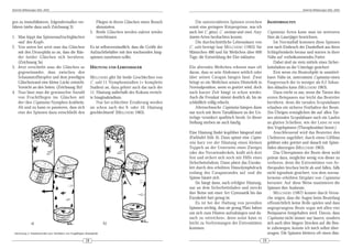 DeArGe Mitteilungen 8(6), 2003                                                                                                                                                                DeArGe Mitteilungen 8(6), 2003



gen zu immobilisieren, folgendermaßen ver-                          Fliegen in ihrem Gläschen einen Besuch           Die unterernährten Spinnen erreichen               JAGDVERHALTEN
fahren (siehe dazu auch Zeichnung 3):                               abzustatten.                                 somit eine geringere Körpergrösse, was ich
                                                                 5. Beide Gläschen werden zuletzt wieder         auch bei C. getazi, C. coccineus und zwei Ancy-        Cupiennius Arten kann man im weitesten
1. Man kippt das Spinnenaufzuchtgläschen                            verschlossen.                                lometes-Arten beobachten konnte.                       Sinn als Lauerjäger bezeichnen.
   »auf den Kopf«.                                                                                                   Die durchschnittliche Lebensdauer von                  Im Normalfall kommen diese Spinnen
2. Von unten her setzt man das Gläschen                          Es ist selbstverständlich, dass die Größe der   C. salei beträgt laut M ELCHERS (1963) für             erst nach Einbruch der Dunkelheit aus ihren
   mit den Drosophila so an, dass die Rän-                       Aufzuchtbehälter mit den wachsenden Jung-       Männchen 480 und für Weibchen über 600                 Schlupfwinkeln heraus und warten in ihrer
   der beider Gläschen sich berühren.                            spinnen zunehmen sollte.                        Tage, die Entwicklung der Eier inklusive.              Nähe auf vorbeikommendes Futter.
   (Zeichnung 3a)                                                                                                                                                           Dabei sind sie stets mittels eines Sicher-
3. Jetzt verschiebt man die Gläschen so                          HÄUTUNG UND LEBENSDAUER                         Ein alterndes Weibchen erkennt man oft                 heitsfadens an der Unterlage gesichert.
   gegeneinander, dass zwischen den                                                                              daran, dass es sein Abdomen seitlich oder                  Erst wenn ein Beuteobjekt in unmittel-
   Schaumstoffstopfen und dem jeweiligen                         MELCHERS gibt für beide Geschlechter von        über seinen Carapax hängen lässt. Zwar                 barer Nähe ist, unternimmt Cupiennius einen
   Gläschenrand eine kleine Lücke entsteht.                      C. salei 11 Nymphenstadien (= komplette         bringt so ein Weibchen seinen Hinterleib in            Fangversuch der in weniger als 0,2 Sekun-
   Vorsicht an den Seiten. (Zeichnung 3b)!                       Stadien) an, dazu gehört auch das nach der      Normalposition, wenn es gestört wird, doch             den ablaufen kann (MELCHERS 1963).
4. Nun lässt man die gewünschte Anzahl                           11. Häutung außerhalb des Kokons erreich-       nach kurzer Zeit hängt es schon wieder.                    Dazu reicht es aus, wenn die Tarsen des
   von Fruchtfliegen ins Gläschen mit                            te Imaginalstadium.                             Auch die Fresslust nimmt deutlich ab, bis sie          ersten Beinpaares nur leicht das Beutetier
   der/den Cupiennius-Nymphen krabbeln.                              Nur bei schlechter Ernährung werden         schließlich völlig erlischt.                           berühren, denn die tarsalen Scopulahaare
   Ab und zu kann es passieren, dass sich                        sie schon nach der 9. oder 10. Häutung              Altersschwache Cupiennius hängen dann              erlauben ein sicheres Festhalten der Beute.
   eine der Spinnen dazu entschließt den                         geschlechtsreif (MELCHERS 1963).                nur noch mit ihren Tarsalklauen an der Un-             (Im Übrigen ermöglichen die auf allen Tar-
                                                                                                                 terlage verankert apathisch herab. In dieser           sen sitzenden Scopulahaare auch ein Laufen
                                                                                                                 Stellung sterben sie auch häufig.                      an glatten Scheiben, wie der Leser es von
                                                                                                                                                                        den Vogelspinnen (Theraphosidae) kennt.)
                                                                                                                 Eine Häutung findet kopfüber hängend statt                 Anschliessend wird das Beutetier den
                                                                                                                 (Farbtafel Abb. 6). Dazu spinnt eine Cupien-           Chelizeren zugeführt, durch einen Giftbiss
                                                                                                                 nius kurz vor der Häutung einen kleinen                gelähmt oder getötet und danach mit Spinn-
                                                                                                                 Teppich an der Unterseite eines Zweiges                fäden überzogen (MELCHERS 1963).
                                                                                                                 oder des Terrariendeckels, krallt sich dort                Das Überspinnen der Beute dient wohl
                                                                                                                 fest und sichert sich noch mit Hilfe eines             primär dazu, möglichst wenig von dieser zu
                                                                                                                 Sicherheitsfadens. Dann platzt das Exoske-             verlieren, denn die Extremitäten von Ar-
                                                                                                                 lett durch den erhöhten Hämolymphdruck                 thropoden brechen leicht ab und fallen, falls
                                                                                                                 entlang des Carapaxrandes auf und die                  nicht irgendwie gesichert, von dem norma-
                                                                                                                 Spinne häutet sich.                                    lerweise erhöhten Sitzplatz von Cupiennius
                                                                                                                     Sie hängt dann, nach erfolgter Häutung,            herunter. Auf diese Weise maximieren die
                                                                                                                 nur an dem Sicherheitsfaden und streckt                Spinnen ihre Ausbeute.
                                                                                                                 ihre Beine mit einer Art Gymnastik bis das                 MELCHERS (1967) konnte durch Versu-
                                                                                                                 Exoskelett hart genug ist.                             che zeigen, dass die Augen beim Beutefang
                                                                                                                     Es ist bei der Haltung von juvenilen               offensichtlich keine Rolle spielen und dass
                                                                                                                 Spinnen wichtig, dass sie genug Platz haben            angesprungene Beute sogar mit allen vier
                                                                                                                 um sich zum Häuten aufzuhängen und da-                 Beinpaaren festgehalten wird. Davon, dass
                                                                                                                 nach zu »stretchen«, denn sonst kann es                Cupiennius nicht immer nur lauern, sondern
               a)                                                         b)                                     leicht zu Verformungen der Extremitäten                sich auch über längere Strecken auf die Beu-
                                                                                                                 kommen.                                                te zubewegen, konnte ich mich selbst über-
 Zeichnung 3: Arbeitsschritte zum Verfüttern von Flugfähigen Drosophila                                                                                                 zeugen: Die Spinnen klettern oft einen dün-
                                                            18                                                                                                     19
 