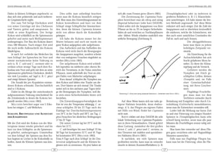 DeArGe Mitteilungen 8(6), 2003                                                                                                                                                           DeArGe Mitteilungen 8(6), 2003



Fäden in kleinen Schlingen angebracht, so                  Dies sollte man unbedingt beachten          sich alle »zum Fressen gern« (BARTH 2001).                      Drosophilagläschen) oder zu mehreren in
dass sich eine polsternde und auch isolieren-          wenn man die Kokons künstlich zeitigen              Die Zerstreuung der Cupiennius-Nym-                         größeren Behältern (z. B. 1 L Klarsichtdo-
de Gespinstschicht ergibt.                             will. Man muss den Entwicklungszustand im       phen bezeichnet man als »drop and swing                         sen) unterbringen. Ich habe immer die letz-
    Der zum Teil fertige Eierkokon wird                Kokon kontrollieren und kurz vor dem            dispersal behaviour« (oder kurz DASDB).                         tere Methode angewandt. Auf diese Weise
von seiner Unterlage mit den Chelizeren                Schlupf einige Schlupflöcher hineinschnei-      Dabei seilen sich die Jungspinnen von ihrer                     reduziert sich nach einiger Zeit die Zahl der
und Tastern gelöst und umsponnen. So                   den, denn die kleinen Cupiennius können         Pflanze an bis zu 70 cm langen Sicherheits-                     Jungspinnen und es überleben letztendlich
erhält er seine Kugelform. Der fertige                 nicht von alleine durch die Kokonhülle          fäden ab und erreichen so Nachbarpflanzen                       die stärkeren, welche die Schwächeren, wie
Kokon wird schließlich an die Spinnwarzen              gelangen.                                       oder -blätter. Winde erlauben zusätzlich eine                   dies auch unter natürlichen Umständen der
geheftet und meist nach Wolfsspinnenart                    Ich habe die Kokons immer bei der           seitliche Bewegung (Zeichnung 2).                               Fall ist, nach und nach fressen.
umhergetragen. Der Bau des Kokons dauert               Mutter belassen und noch nie wurde ein                                                                                                Die übriggebliebenen
etwa 180 Minuten. Nach einiger Zeit wird               guter Kokon aufgegeben oder aufgefressen.                                                                                         kann man dann zu jedem
die noch weiße Außenschicht des Kokons                     Das Auflockern und das Aufbeißen des                                                                                          beliebigen Zeitpunkt ver-
bläulichgrau.                                          Kokons wird nicht durch die Bewegungen                                                                                            einzeln.
    Je nach Art verbleibt das Weibchen bis             der Jungspinnen ausgelöst, sondern scheint                                                                                            Als Einrichtung für die
zum Schlupf der Spinnchen im Nest und                  eher von endogenen Ursachen eingeleitet zu                                                                                        Aufzuchtbehälter hat sich
nimmt normalerweise keine Nahrung zu                   werden (MELCHERS 1963).                                                                                                           feucht gehaltenes Moos be-
sich (z. B. C. salei und C. coccineus) oder es             Der aufgebissene Kokon wird schließ-                                                                                          währt. Es dient der Klima-
verlässt schon wenige Tage nach dem Ko-                lich irgendwo im mittleren oder oberen Be-                                                                                        regelung und als Versteck.
konbau sein Nest und geht mit dem an seine             reich des Terrariums, in der Natur zwischen                                                                                           Gefüttert werden die
Spinnwarzen geheftetem Eierkokon, ähnlich              Pflanzen, meist außerhalb des Nest an eini-                                                                                       Nymphen mit frisch ge-
wie viele Lycosiden, auf Jagd (z. B. C. getazi         gen Fäden vom Muttertier aufgehangen.                                                                                             schlüpften Grillen, kleinen
und einige kleinere Spezies).                              Kurz darauf schlüpfen die Nymphen aus                                                                                         Drosophila und, im Falle
    Die Anzahl der pro Kopulation entstan-             dem Kokon und bilden eine Traube um die-                                                                                          einer Gemeinschaftshal-
denen Kokons schwankt. Durchschnittlich                sen. Dort häuten sie sich einmal. Die Traube                                                                                      tung, mit ihren Geschwi-
sind es 3 Kokons.                                      weitet sich in den nächsten paar Tagen infol-                                                                                     stern.
    Dabei ist die Menge der zwischendurch              ge der Bewegungen der Nymphen, weil die-                                                                                              Flugfähige Fruchtflie-
                                                                                                         Zeichnung 2: »Drop and swing dispersal behaviour«. (Verändert nach BARTH 2001).
aufgenommenen Nahrung entscheidend für                 se stets einen Sicherheitsfaden hinter sich                                                                                       gen muss man vor dem
die Zeitabstände in denen die Kokons her-              herziehen.                                                                                                                        Verfüttern entweder durch
gestellt werden (MELCHERS 1963).                           Die Entwicklungsgeschwindigkeit der              Auf diese Weise lassen sich nur nahe ge- Betäubung mit Essigäther oder durch Un-
    MELCHERS berichtet sogar von 5 Eiko-               Eier ist von der Temperatur abhängig. C. coc-   legene Habitate besiedeln, denn »balloo- terkühlung (Gefrierfach) immobilisieren,
kons bei einigen C. salei Weibchen.                    cineus schlüpfen 20 bis 23 Tage nach der        ning«, d. h. das Fliegen am eigenen Faden wenn man ihr Entweichen vermeiden will.
                                                       Eiablage bei Durchschnittstemperaturen          mit Hilfe von Wind, findet bei Cupiennius                            Leider hält die Wirkung nur kurze Zeit
S CHLUPF, B RUTPFLEGE            UND   AUFZUCHT        von 24°C in der Nacht und 28°C am Tag, C.       nicht statt.                                                    an und eine Fütterung von einigen Hundert
DER JUNGSPINNEN                                        getazi brauchen bei ähnlichen Bedingungen            BARTH erklärt mit dem DASDB die sehr Spinnen in Drosophilagläschen kann sehr
                                                       17 bis 22 Tage.                                 lokale Verbreitung von Cupiennius-Populatio- schnell lästig werden, wenn man alle paar
Mit der Zeit wird der Kokon von der Mut-                   Die untere Grenze lag bei 22°C und die      nen in ihren Heimatländern. Damit gehört Minuten die Fruchtfliegen erneut ruhig stel-
terspinne immer wieder gelockert und bis               obere bei 31°C.                                 diese Gattung, zumindest die drei großen len muss.
kurz vor dem Schlüpfen, an die Spinnwarz-                  C. salei benötigen bis zum Schlupf 25 bis   Arten C. salei, C. getazi und C. coccineus, zu                       Man kann hier entweder auf diese Flie-
en geheftet, umhergetragen. Unmittelbar                28 Tage bei konstanten 25°C und 45 Tage         den Tierarten mit stabilen und spezialisier- gen ganz verzichten oder auf flugunfähige
vor dem Schlupf der Spinnen aus dem Ko-                bei konstanten 20°C (MELCHERS 1963).            ten Habitaten (BARTH 2001).                                     Mutanten ausweichen.
kon beginnt sie Löcher in die Kokonhülle zu            Etwa 9 Tage nach dem Schlupf ist der Dot-            Je nachdem, wie viele Spinnen man                               Falls man nur flugfähige Fliegen hat,
beißen, damit die Kleinen Spinnen raus kön-            tervorrat aufgebraucht und die Kleinen be-      großziehen möchte, kann man sie entweder kann man bei der Fütterung, ohne die Flie-
nen.                                                   ginnen sich zu zerstreuen. Ab jetzt haben sie   einzeln in kleinen Kunststoffbehältern (z. B.
                                                  16                                                                                                        17
 