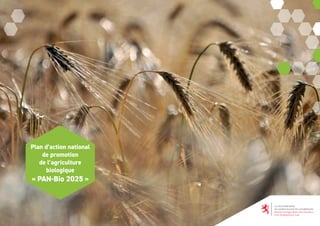 Plan d’action national
de promotion
de l’agriculture
biologique
« PAN-Bio 2025 »
 