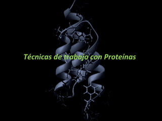 Técnicas de trabajo con Proteínas 