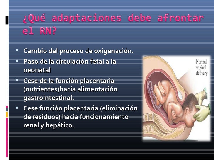 ADAPTACION A LA VIDA EXTRAUTERINA