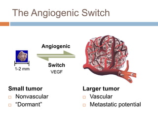 The Angiogenic Switch
Small tumor
 Nonvascular
 “Dormant”
Larger tumor
 Vascular
 Metastatic potential
1-2 mm
Angiogenic
Switch
VEGF
 