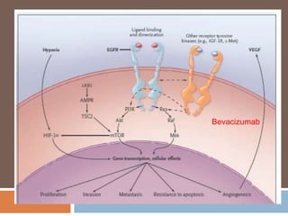 Bevacizumab
 