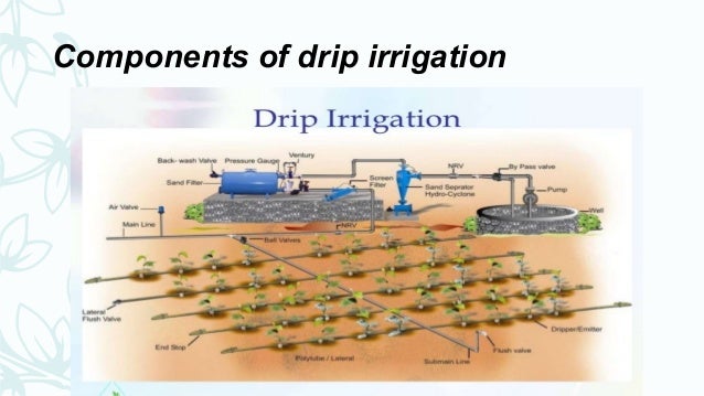 What Are The Components Of Drip Irrigation System - Design Talk