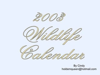 2003 Wildlife Calendar By Cindy [email_address] 