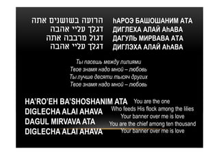‫הרועה בשושנים אתה‬           hАРОЭ БАШОШАНИМ АТА
      ‫דגלך עליי אהבה‬          ДИГЛЕХА АЛАЙ АhАВА
     ‫דגול מרבבה אתה‬           ДАГУЛЬ МИРВАВА АТА
      ‫דגלך עליי אהבה‬          ДИГЛЭХА АЛАЙ АhАВА
                Ты пасешь между лилиями
              Твое знамя надо мной – любовь
              Ты лучше десяти тысяч других
              Твое знамя надо мной – любовь

HA’RO’EH BA’SHOSHANIM ATA You are the one
DIGLECHA ALAI AHAVA WhoYour banner over me is lovelilies
                          feeds His flock among the

DAGUL MIRVAVA ATA   You are the chief among ten thousand
DIGLECHA ALAI AHAVA     Your banner over me is love
 