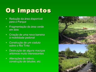 Os impactos Redução da área disponível para o Parque Fragmentação da área verde em dois Criação de uma nova barreira à mobilidade pedonal Construção de um viaduto sobre o Rio Tinto Destruição de alguns maciços arbóreos muito interessantes Alterações de relevo, construção de taludes, etc. 