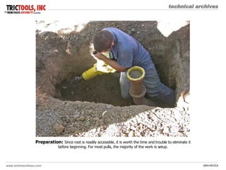 Preparation:   Since root is readily accessible, it is worth the time and trouble to eliminate it before beginning. For most pulls, the majority of the work is setup. 