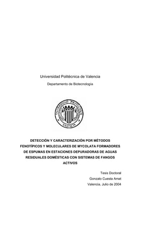 Universidad Politécnica de Valencia
Departamento de Biotecnología
DETECCIÓN Y CARACTERIZACIÓN POR MÉTODOS
FENOTÍPICOS Y MOLECULARES DE MYCOLATA FORMADORES
DE ESPUMAS EN ESTACIONES DEPURADORAS DE AGUAS
RESIDUALES DOMÉSTICAS CON SISTEMAS DE FANGOS
ACTIVOS
Tesis Doctoral
Gonzalo Cuesta Amat
Valencia, Julio de 2004
 