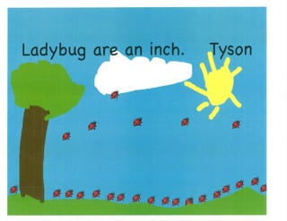 Mrs. Kangas's Kindergarten Class Insect Book