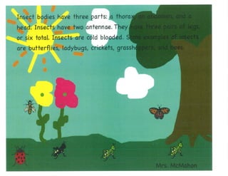 Mrs. Kangas's Kindergarten Class Insect Book