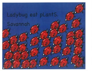 Mrs. Kangas's Kindergarten Class Insect Book