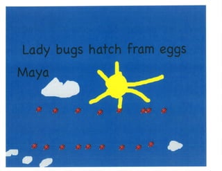 Mrs. Kangas's Kindergarten Class Insect Book