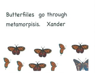 Mrs. Kangas's Kindergarten Class Insect Book