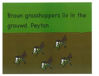 Mrs. Kangas's Kindergarten Class Insect Book