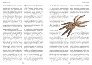 ARACHNE 9(1), 2004                                                                                                                                                                         ARACHNE 9(1), 2004



bedeckt (Die Buchlungen sind die 4 helleren           ein Regenwaldterrarium mit allen benötigten     dem die Möglichkeit Nahrung zu sich zu                sollten die Tiere ihre benötigte Ruhe haben
Flecken auf der Unterseite des Abdomens).             Dingen eingerichtet werden (Farbtafel Abb.      nehmen, während sie den Kokon bewacht.                und das Handling in den Terrarien sollte
Wenn die Spinne ein Männchen wird, befin-             6). Dies ist aber nicht unbedingt erforder-     Wie bei den meisten baumbewohnenden                   sich auf ein Minimum beschränken. Norma-
det sich dort auf dieser Platte ein dunklerer,        lich, da S. calceatum sehr robust ist und       Vogelspinnen beinhaltet ein Stromatopelma             lerweise verhält sich Stromatopelma calceatum
sichelförmiger Fleck aus kleinen, dicht ange-         trockene Zeiten sehr gut übersteht. Die         calceatum Kokon nicht sehr viele Eier. Diese          nicht aggressiv, im Gegenteil: es sind sehr
ordneten Haarbüscheln. Dieser Fleck exi-              Temperatur sollte tagsüber um die 28-30°C       sind allerdings recht groß. Oftmals sind we-          scheue und nervöse, hin und wieder auch
stiert bei Weibchen nicht. Als Neuling bei            und nachts bei etwa 20-22 °C liegen. Kom-       niger als 100 Jungtiere in einem Kokon                sehr tempe-
der Geschlechtsbestimmung muss man sich               biniert mit einer guten Belüftung sollte die    (Farbtafel Abb. 5). Die Luftfeuchtigkeit soll-        rament-
zu Beginn sicherlich viele Spinnen anschau-           Luftfeuchtigkeit relativ hoch sein, etwa 75-    te während der Kokonzeit relativ hoch und             volle
en, um die Geschlechter unterscheiden zu              90%. Grundsätzlich sollte man baumbewoh-        vor allem konstant gehalten werden. Vom
können. Hat man aber einmal begriffen wie             nende Vogelspinnen, wenn keine ausrei-          Bau des Kokons bis zum Herausnehmen
die Unterschiede aussehen, verfügt man                chende Belüftung gegeben ist, eher etwas        sollten mindestens drei Wochen verstri-
zukünftig über genügend Wissen, um das                trockener halten. Konstant hohe Luftfeuch-      chen sein, wobei sich das Heraus-
Geschlecht von Vogelspinnen zu bestim-                te verbunden mit »stehender« Luft wird          nehmen des Kokons häu-
men. Dieser Fleck oder Punkt bildet nach              Schimmel, Fäulnis und viele Krankheiten         fig sehr schwierig gestal-
der Reifehäutung ein zweites Spinnorgan               hervorrufen und daran sind weder die Tiere      tet, da die Weibchen den
des Männchens, mit dem dieses das feine               noch wir interessiert.                          Kokon mit Vehemenz
Gewebe im Spermanetz anfertigt, an dem                                                                verteidigen.
                                                                                                                                                                           Stromatopelma calceatum, Männchen
der Spermatropfen angeheftet wird.                    Die Verpaarung von Stromatopelma calceatum                                                                           Foto: Guy Tansley
    Da alle Stromatopelma-Arten baumbewoh-            ist unkompliziert und verläuft ziemlich über-   Tiere der Gattung
nende Spinnen sind, wird zur Haltung auch             raschend, wenn man bedenkt wie tempera-         Stromatopelma legen ohne                                        Spinnen, die den Pfleger aber nie-
ein entsprechendes Terrarium benötigt. Die            mentvoll sich die Angehörigen dieser Gat-       Zweifel ein überaus wil-                                     mals von sich aus angreifen würden.
Maße sollten bei mindestens 25 cm x 30 cm             tung verhalten können. Bei der Paarung legt     des Temperament an                                        Wenn sie jedoch in die Ecke ge drängt
x 40 cm (B x T x H) liegen. Das absolute              sich das bereite Weibchen oftmals auf den       den Tag. Sie verfügen                                  oder an der Flucht gehindert werden, än-
Minimum ergibt sich bei den Abmessungen               Rücken, so dass das Männchen seiner Be -        über ein verhältnismäßig                              dert sich ihr Verhalten und sie springen
aus der Beinspannweite und sollte m. E. wie           stimmung problemlos nachkommen kann             starkes Gift und in Kombination mit einer             ohne zu zögern auf den Störenfried zu. Aus
folgt aussehen: Breite = 1 x Beinspannweite,          (Farbtafel Abb. 2). Die Verpaarungen laufen     unglaublichen Geschwindigkeit und Beweg-              diesem Grunde ist es ratsam, dass man seine
Tiefe = 1,5 x Beinspannweite, Höhe = 2 x              in der Regel für das Männchen gefahrlos ab,     lichkeit, welche bei baumbewohnenden Vo-              Hände in jedem Fall auf Distanz zur Spinne
Beinspannweite. Die Rückseite des Beckens             obwohl es meist wesentlich kleiner als das      gelspinnen häufig vorkommt. Somit wird                hält und das Terrarium nur dann öffnet oder
sollte mit Kork oder einer anderen Rinde              Weibchen ist. Man kann das Männchen oh-         schnell klar, warum beim Umgang mit die-              das Tier stört, wenn es wirklich nötig ist,
verkleidet sein und eine Korkröhre oder ein           ne Probleme eine Woche oder länger beim         sen Tieren ein hohes Maß an Vorsicht und              beispielsweise zum Füttern oder zu anderen
Stück gebogene Korkrinde sollte aufrecht              Weibchen belassen, denn dies begünstigt die     Respekt angebracht ist. Wenn sich die Spin-           nötigen Maßnahmen im Rahmen der Hal-
gegen die Rückseite gelehnt werden. Sie               Chance einer erfolgreichen Verpaarung und       nen im Terrarium eingewöhnt haben, verur-             tung. Das Umsetzen der Spinnen ist eben-
dient der Spinne als Unterschlupf. Der Bo-            Eiablage. Nach einiger Zeit wird das Weib-      sachen sie diesbezüglich eigentlich selten            falls als schwierig anzusehen und manchmal
dengrund muss nicht sehr tief sein, etwa 5            chen dann den flachen, scheibenähnlichen        Probleme. Normalerweise flüchten die Tiere            kann es passieren, dass man die sehr agilen
cm sollten ausreichen. Normalerweise                  Kokon an einer Seitenwand ihres Versteckes      bei der kleinsten Störung mit dem Vorder-             Tiere plötzlich auf der eigenen Hand sitzen
spinnt sich das Tier ein röhrenförmiges               spinnen (Farbtafel Abb. 3) – dies ist ein       körper voran in ihr Versteck. Wenn man sie            hat. Bei dieser Gelegenheit lässt sich dann
Gespinst zwischen Rückwand und Kork-                  Trick, den viele der afrikanischen Vo gel -     allerdings weiter stört, stürzen sie aus ihrem        das voll entfaltete Temperament dieser Vo-
stück, welches bis auf den Boden reicht.              spinnen-Arten nutzen, und der den Weib-         Bau um sich zu verteidigen. Die Vo -                  gelspinnen beobachten. Ich erinnere mich
Der Eingang der Röhre befindet sich übli-             chen Raum gibt sich zu bewegen und den          gelspinnen können in so einer Situation sehr          mit gemischten Gefühlen an den Tag zu -
cherweise im oberen Bereich des Terrari-              Kokon mit wüster Entschlossenheit und viel      schnell rennen und wenn sie unter Stress              rück, als eine meiner großen S. calceatum aus
ums. Da die Tiere aus den Regenwäldern                Bewegungsfreiheit zu verteidigen. Auf diese     stehen beißen sie nicht selten ohne Vorwar-           ihrem Terrarium heraussprang, die Kü -
des tropischen Afrika stammen, kann auch              Art und Weise erhält das Weibchen außer-        nung zu. Um solche Attacken zu vermeiden,             chenwand emporlief und ohne zu zögern
                                                 10                                                                                                    11
 