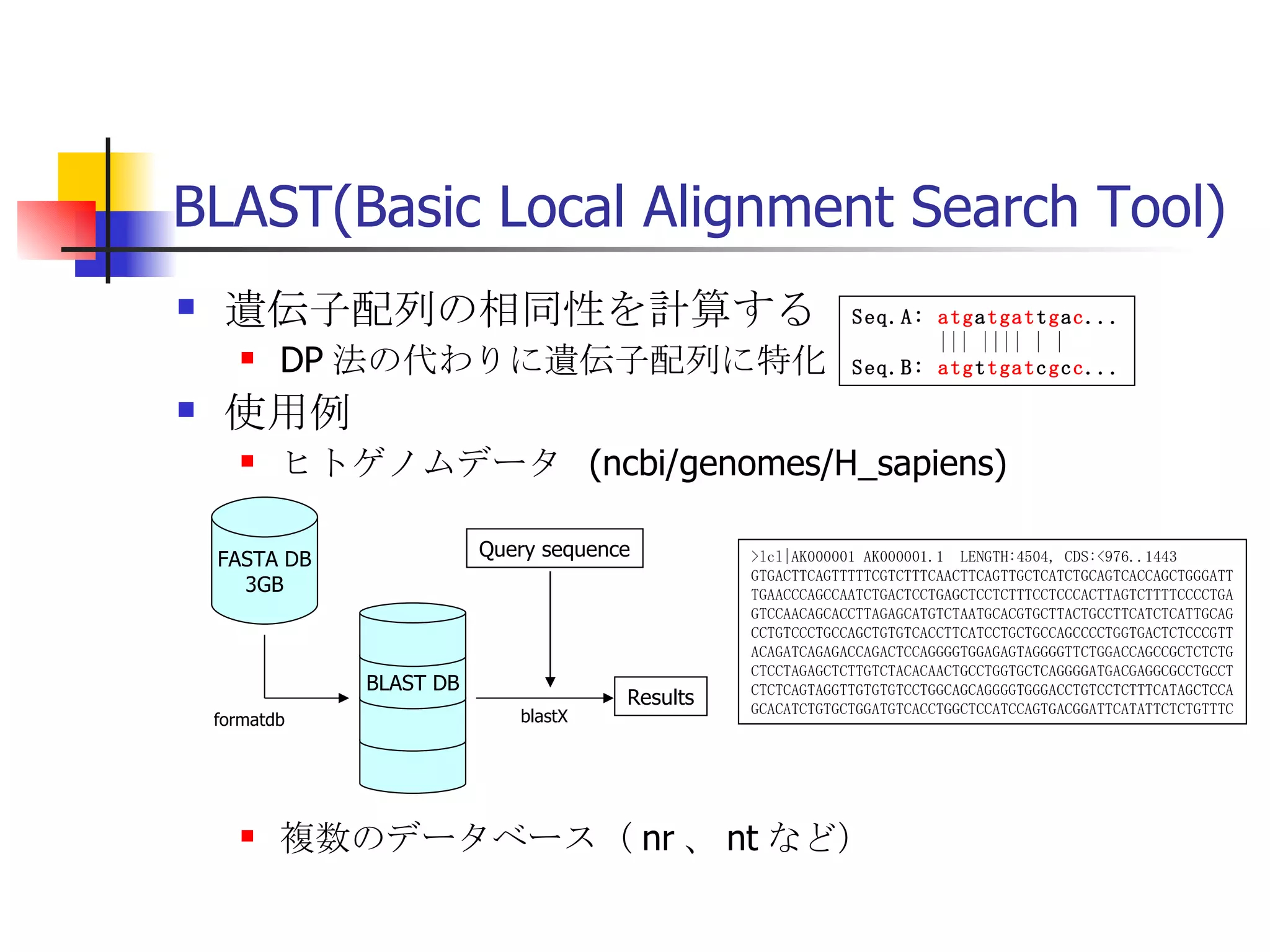 BLAST(Basic Local Alignment Search Tool) 遺伝子配列の相同性を計算する DP 法の代わりに遺伝子配列に特化 使用例 ヒトゲノムデータ  (ncbi/genomes/H_sapiens) 複数のデータベース（ nr 、 nt など） >lcl|AK000001 AK000001.1  LENGTH:4504, CDS:<976..1443 GTGACTTCAGTTTTTCGTCTTTCAACTTCAGTTGCTCATCTGCAGTCACCAGCTGGGATT TGAACCCAGCCAATCTGACTCCTGAGCTCCTCTTTCCTCCCACTTAGTCTTTTCCCCTGA GTCCAACAGCACCTTAGAGCATGTCTAATGCACGTGCTTACTGCCTTCATCTCATTGCAG CCTGTCCCTGCCAGCTGTGTCACCTTCATCCTGCTGCCAGCCCCTGGTGACTCTCCCGTT ACAGATCAGAGACCAGACTCCAGGGGTGGAGAGTAGGGGTTCTGGACCAGCCGCTCTCTG CTCCTAGAGCTCTTGTCTACACAACTGCCTGGTGCTCAGGGGATGACGAGGCGCCTGCCT CTCTCAGTAGGTTGTGTGTCCTGGCAGCAGGGGTGGGACCTGTCCTCTTTCATAGCTCCA GCACATCTGTGCTGGATGTCACCTGGCTCCATCCAGTGACGGATTCATATTCTCTGTTTC Seq.A:  atg a tgat t g a c ... ||| |||| | | Seq.B:  atg t tgat c g c c ... FASTA DB 3GB formatdb BLAST DB Query sequence blastX Results 