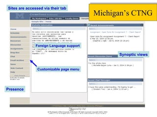Sites are accessed via their tab Synoptic views Foreign Language support Customizable page menu Presence Michigan’s CTNG 