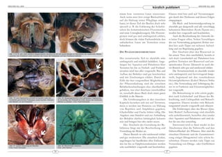 ARACHNE 9(2), 2004                                                                                                                                                                                                    ARACHNE 9(2), 2004
                                                                                                                                                                    kürzlich publiziert
                                                                                                                                   mann bzw. versierten Laien interessant.               Ebenso wird hier auch auf Verunreinigun-
                                                                                                                                   Auch wenn man hier einige Rückschlüsse                gen durch den Tierbesatz und dessen Folgen
                                                                                                                                   auf die Haltung seiner Pfleglinge ziehen              eingegangen.
                                                                                                                                   kann, ist dieser Teil des Buches doch sehr                Die Rück- und Seitenwandgestaltung ist
                                                                                                                                   speziell (z. B. die Erklärung des holarkti-           ebenfalls gut dargestellt und alle einschlägig
                                                                                                                                   schen bis holantarktischen Florenreiches              bekannten Materialien (Kork/Xaxim etc.)
                                                                                                                                   und seine Untergliederungen). Die Florenre-           werden hier vorgestellt und beschrieben.
                                                                                                                                   gionen sind gut und umfangreich erklärt,                  Auch die Beschreibung des Astwerks läs-
                                                                                                                                   doch können die vielen Fachausdrücke den              st keine Fragen offen. Neben Vorschlägen
                                                                                                                                   unbedarften Laien am Verstehen etwas                  des zur Verwendung geeigneten Holzes wer-
                                                                                                                                   behindern.                                            den hier auch Tipps zur sicheren Aufstel-
                                                                                                                                                                                         lung und zur Begrünung gegeben.
                                                                                                                                   DIE PFLANZENBESCHREIBUNGEN                                Der Abschnitt über den Wasserteil ist
 Abb. 17 & 18: sehr stark befallene Megaphobema robustum bei der sich große Mengen an Nematoden als »wabernde« Masse
 zwischen den Chelizeren sowie zwischen den Coxen der Pedipalpen und den Chelizeren befinden                                                                                             für unsere Tiere eher unerheblich, bezieht er
                                                                                                                                   Der terraristische Teil ist ebenfalls sehr            sich doch vornehmlich auf Paludarien bzw.
                                                                                                                                   umfangreich und reichlich bebildert. Ange-            größere Terrarien mit Wasserteil und ent-
                                                                                                                                   fangen bei Aquarien und Paludarien über               sprechenden Tieren. Dennoch ist auch die-
                                                                                                                                   Terrarien bis hin zu Freiluft- und Freiland-          ser Bereich sehr gut und umfassend erklärt.
                                                                                                                                   terrarien wird hier alles vorgestellt. Bau und            Die Terrarientechnik ist ebenfalls wieder
                                                                                                                                   Aufbau der Behälter sind gut beschrieben              sehr umfangreich und hervorragend darge-
                                                                                                                                   und mit Zeichnungen erklärt. Durch die                stellt, beginnend mit den verschiedenen
                                                                                                                                   Fülle der hier vorgestellten Möglichkeiten            Heizmöglichkeiten (Kabel/Matten/Stäbe
                                                                                                                                   der Pflanzenhaltung sind die einzelnen                etc.). Die Verwendung und Anbringung die-
                                                                                                                                   Behälterbeschreibungen eher oberflächlich             ser ist in Funktion und Einsatzmöglichkei-
                                                                                                                                   gehalten, was aber durchaus entschuldbar              ten vorgestellt.
                                                                                                                                   ist, verschafft dieses Buch doch einen guten              Die Beleuchtung ist sehr schön geglie-
                                                                                                                                   Einblick in die Materie.                              dert nach Lichtbedarf und Dauer der Be -
 Abb. 19: eine Haplopelma schmidti mit deutlich unter den        Abb. 20: Saugmagenbereich einer gehäuteten Vogelspinne.
 Vorderleib gekrümmten Pedipalpen sowie feuchter »Nemato-        Es ist wichtig, den Wirkstoff bis hinter diesen hier markierten        Die Größenangaben in den einzelnen               leuchtung, nach Lichtqualität und Beleuch-
 den-Masse« um die Chelizeren                                    Bereich zu pressen.; Foto: Frank Schneider
                                                                                                                                   Kapiteln beziehen sich nur auf Terrarien,             tungsarten. Ebenso werden viele Beleuch-
                                                                                                                                   denn es werden nur Hinweise zur Haltung               tungsmittel einzeln vorgestellt und erläutert.
                                                                                                                                   von Reptilien und Amphibien gegeben,                      Die Erklärungen über das Wasser (Qua-
                                                                                                                                   Gliederfüßer und Fische fehlen völlig. Die            lität/Bedarf/Aufbereitung) sind ebenfalls
                                                                                                                                   Angaben zum Standort und zur Aufstellung              sehr aufschlussreich, betreffen aber wieder
                                                                                                                                   der Behälter dürften hinlänglich bekannt              eher Aquarien und Paludarien und sind da-
                                                                                                                                   sein und bringen hier also nichts neues.              her für uns eher unwichtig.
                                                                                                                                        Der Abschnitt der Gestaltung der Be -                Interessant wird es dann wieder in den
                                                                                                                                   hältnisse fängt mit der Beschreibung und              Abschnitten über die Nährstoffe und den
                                                                                                                                   Vorstellung der Böden an.                             Nährstoffbedarf der Pflanzen. Hier sind die
                                                                                                                                        Dieser Bereich ist sehr umfassend erklärt        einzelnen Elemente und die Zusammenset-
                                                                                                                                   und gut strukturiert. Die einzelnen Erden,            zung einiger Düngemittel sehr schön be -
                                                                                                                                   angefangen bei Sandböden über Einheitser-             schrieben. Ebenso werden viele Tipps zur
                                                                                                                                   den bis hin zu Epiphytensubstraten werden             Vermeidung von Dünge- oder Gießfehlern
 Abb. 21: leichte Verpilzung der Maxillen                        Abb. 22: Micrommata virescens
 Foto: Frank Schneider                                           Foto: John Osmani                                                 sehr ausführlich vorgestellt und beschrieben.         gegeben.
                                                            26                                                                                                                      27
 