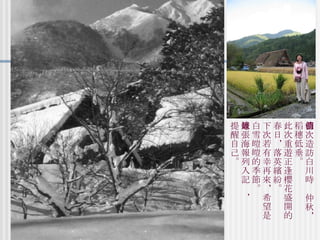 初次造訪白川時值仲秋，稻穗低垂。 此次重遊正逢櫻花盛開的春日，落英繽紛。 下次若有幸再來，希望是白雪皚皚的季節。 這張海報列入記錄， 提醒自己。 