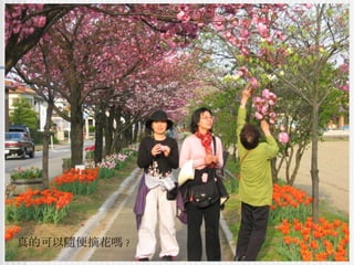真的可以隨便摘花嗎 ? 