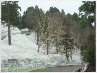 前往室堂平的路上一片白茫茫 
