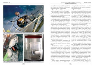 ARACHNE 9(4), 2004                                                                                                                                                                                          ARACHNE 9(4), 2004
                                                                                                                                                          kürzlich publiziert
                                                                                                                       mende Arten sehr spezielle Ansprüche ha-                Arten gefunden werden konnte – vor allem
                                                                                                                       ben können, die spätestens bei der Nach-                auch deshalb, weil alle anderen Erdteile Be-
                                                                                                                       zucht berücksichtigt werden sollten.                    rücksichtigung fanden.
                                                                                                                           Was Aufbau und Inhalt der einzelnen                     Was weiterhin ins Auge sticht sind die
                                                                                                                       Artikel angeht gibt es nichts zu bemängeln.             Buchbesprechungen. Diese lassen teilweise
                                                                                                                           Im Vergleich zu anderen Publikationen               etwas Sachlichkeit vermissen. Während es
                                                                                                                       fallen verschwindend wenige Rechtschreib-               z.B. in der Besprechung des Buches von
                                                                                                                       fehler auf (z.B. »Xerodendrophila« statt richtig        VON W IRTH noch heisst, »Begriffe wie Ce -
                                                                                                                       »Xenodendrophila« S. 9 und S. 16).                      phalothorax […] sollten vermieden werden«,
                                                                                                                           Abgerundet wir das Heft durch einige                schreibt der Autor über den gleichen Fehler
                                                                                                                       Vorstellungen neuerer Forschungsergebnisse              bei der Besprechung des Buches von D R .
                                                                                                                       z.B. zum Schwimmverhalten von Vogelspin-                SCHMIDT »[…] in Schmidts Terminologie […]«,
                                                                                                                       nen. Damit ist der Synthesekreis zwischen               was so klingt, als gestehe K RITON K UNZ
                                                                                                                       Theorie und Praxis sowie zwischen Infor-                Herrn SCHMIDT eine Berechtigung zu einer
                                                                                                                       mationstiefe und -breite geschlossen.                   eigenen Terminologie durchaus zu.
                                                                                                                           Etwas seltsam ist die Praxis, bei den                   Während, um bei dem besonders an -
                                                                                                                       Spinnennamen die Artikel dem Geschlecht                 schaulichen Beispiel dieser zwei Bücher zu
                                                                                                                       des lateinischen bzw. griechischen Ursprun-             bleiben, im GU-Buch jeder Fehler mikro-
                                                                                                                       ges anzupassen. So liest man z.B. auf S. 60             chirurgisch seziert wird, übergeht Herr
                                                                                                                       »Juveniles Brachypelma smithii«. Da diese Pra-          K UNZ die diversen Mängel des anderen
 Abb. 11: Latrodectus hasselti, die Überreste des Männchen hängen, nachdem es gefressen wurde, im Netz des Weibchens   xis konsequent durch das ganze Heft durch-              Buches elegant: Schmidt darf »Blut« schrei-
 Foto: Michaela Biese
                                                                                                                       gehalten wird, schließe ich einen Zufall aus.           ben (GÜNTHER SCHMIDT: Vogelspinnen, 4.
                                                                                                                       Meines Wissens ist es jedoch nicht üblich,              Auflage, S. 20), vON WIRTH nicht (Rezensi-
                                                                                                                       eine solche Anpassung vorzunehmen, da im                on S. 79, mittlere Spalte). Bei VON W IRTH
                                                                                                                       Hintergrund der Artennamen ja immer »die                sind Sätze »unsinnig«, bei Schmidt dagegen
                                                                                                                       Spinne« steht, also feminin.                            ist Herr KUNZ neutraler und spricht von »Ich
                                                                                                                           Einem hyperkritischen Rezensenten fal-              meine« und »Mir persönlich gefällt […] nicht«
                                                                                                                       len noch einige weniger gelungene Aspekte               usw.
                                                                                                                       des Heftes auf, die nicht unerwähnt bleiben                 Weiterhin vergisst Herr KUNZ zu erwäh-
                                                                                                                       sollen:                                                 nen, dass gerade die vorgestellte 4. Auflage
                                                                                                                           Bei dem Artikel »Ecdysis – wenn Vogel-              des Schmidt-Buches derart veraltet ist, dass
                                                                                                                       spinnen aus der Haut fahren« (S. 20) wäre es            sie eigentlich für systematische Arbeit nur
                                                                                                                       interessanter gewesen, die Häutungsabstän-              noch wenig Wert besitzt (was sich hoffent-
                                                                                                                       de einer Jungspinne bis zum adulten Stadi-              lich mit der ebenfalls kurz vorgestellten neu-
                                                                                                                       um zu verfolgen. Die nur drei bzw. 4 be -               en Auflage, in die ich noch keinen konzen-
                                                                                                                       schriebenen Häutungen einer Vogelspinne                 trierten Einblick vornehmen konnte, verbes-
                                                                                                                       werden wohl viele Halter selber schon ver-              sert hat). Weiterhin fehlen Hinweise auf die
                                                                                                                       folgt haben. Weiterhin geschmälert wird der             deutlichen Schwächen des Buches »Vogel-
                                                                                                                       Informationsgehalt des Artikels dadurch,                spinnen« von PETER KLAAS (s. Buchbespre-
                                                                                                                       dass einige »verpasste« Häutungen erwähnt               chung in ARACHNE Nr. 1 (9), 2004).
                                                                                                                       werden.                                                     Bei den Buchbesprechungen von K RI -
                                                                                                                           Schade ist auch, dass anscheinend kein              TON K UNZ handelt es sich aber, im Ge -
 Abb. 12: Latrodectus hasselti, Weibchen mit Kokons           Abb. 13: Latrodectus hasselti, Kokon im »Inkubator«
 Foto: Stephan Martini                                        Foto: Stephan Martini                                    Au tor für die Haltung von afrikanischen                sammtkontext gesehen, nur um kleinere
                                                         26                                                                                                               27
 
