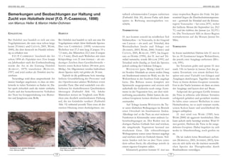 ARACHNE 9(6), 2004                                                                                                                                                                          ARACHNE 9(6), 2004




Bemerkungen und Beobachtungen zur Haltung und                                                            tal lisch schimmernden Carapax aufweisen             einer tropischen Region der Erde. Im Jah-
Zucht von Holothele incei (F.O. P.-CAMBRIDGE, 1898)                                                      (Farbtafel Abb. 20), dessen Farbe sich dann
                                                                                                         später in Richtung messingfarben ver-
                                                                                                                                                              resmittel liegen die Durchschnittstemperatu-
                                                                                                                                                              ren – gemittelt für Trinidad und die Küsten-
von Marcus Heller & Marion Heller-Dohmen                                                                 schiebt.                                             region Venezuelas – bei etwa 24°C, wobei
                                                                                                                                                              der heißeste Monat der September (ca. 24,5
                                                                                                         VERBREITUNG                                          °C) und der kühlste der Januar (ca. 22,5°C)
EINLEITUNG                                             HABITUS                                                                                                ist. Die Trockenzeit fällt in dieser Region
                                                                                                         H. incei kommt sowohl im nördlichen Teil             normalerweise auf die Monate Januar bis
Bei Holothele incei handelt es sich um eine            Bei Holothele incei handelt es sich um eine für   Südamerikas – in Venezuela, in der Gegend            März.
Vogelspinnenart, die man zwar schon lange              Vogelspinnen relativ klein bleibende Spezies.     um Caracas – als auch auf Trinidad, den
kennt (VERDEZ und CLÉTON, 2001, WEBB,                  Das von C AMBRIDGE (1898) vermessene              Westindischen Inseln und Tobago vor                  VERHALTEN
2000), die aber dennoch im Handel schwie-              Weibchen war 27,5 mm lang (Carapax 10 x           (SCHMIDT, 2003; WEBB, 2000; VERDEZ und
rig zu erhalten war.                                   7,5 mm), das Männchen 22,5 mm (Carapax            CLÉTON, 2001; RUDLOFF, 1997). Im Gegen-              In ihrem natürlichen Habitat lebt H. incei in
     F.O. P.-C AMBRIDGE 1 beschrieb die Art            11 x 9 mm). Doch auch Weibchen mit einer          satz zu HOBBS (1990), der H. incei auf Tri-          bis zu 30 Zentimeter langen Wohnröhren,
schon 1898 als Hapalopus incei. Erst knapp             Körperlänge von 21 mm können – als ein-           nidad sammelte, wurde MÜLLER (1991) auf              die jeweils zwei Ausgänge aufweisen (MÜL-
ein Jahrhundert nach der Erstbeschreibung              deutiges Zeichen ihrer Geschlechtsreife –         Trinidad nicht fündig, er fand die Spezies           LER, 1991).
wurde die Art in die Gattung Holothele                 bereits einen Kokon haben (H UBER , pers.         jedoch entlang der Ostküste Tobagos.                      Im Terrarium gräbt und spinnt H. incei
(K ARSCH 2 , 1879) transferiert (RUDLOFF ,             Mittlg.). Im Allgemeinen werden Individuen            WEINMANN (pers. Mittlg.) fand H. incei           stark. Oft ist bereits in kurzer Zeit das ge-
1997) und wird seither als Holothele incei be-         dieser Spezies nicht viel größer als 30 mm.       im Norden Trinidads an einem steilen Hang            samte Terrarium von einem dichten Ge -
zeichnet.                                                  Typisch ist die goldbraune bzw. messing-      am Straßenrand mitten im Wald, wo die Art            spinst mit einer Vielzahl von Gängen und
     Neuerdings wird diese ansprechende Art            farbene Grundfärbung des Prosoma 3 und            Wohnröhren in der feuchten Erde angelegt             Ausgängen durchzogen. Tagsüber sitzen die
immer häufiger angeboten, so dass sie mitt-            des Opisthosoma4 adulter Weibchen sowie           hatte. Die Röhren waren komplett mit                 Tiere in ihrem dichten Gespinst versteckt.
lerweile in vielen Terrarien zu finden ist. Da-        juveniler Tiere. Das wird zusätzlich von oliv-    Spinnseide ausgesponnen und setzten sich             Erst in der Nacht kommen sie dann an einen
bei spielt sicherlich auch die relativ einfache        farbenen bis dunkelbraunen Querbändern            außerhalb des Erdreichs noch einige Zenti-           der Ausgänge und lauern dort auf Beute.
Zucht und das bemerkenswerte Verhalten                 überzogen (Farbtafel Abb. 14). Adulte             meter in der Vegetation fort, um dort trich-              Aufgrund der geringen Größe können
der Tiere bei Gruppenhaltung von Mutter-               Männchen weisen im Vergleich zum Weib-            terförmig auszulaufen. Dabei hatten die ein-         die Tiere in teilweise sehr kleinen Terrarien
tier und Jungtieren eine Rolle.                        chen eine deutlich unscheinbarere Färbung         zelnen Gespinste keinen direkten Kontakt             erfolgreich gehalten und gezüchtet werden.
                                                       auf, die ins Gräuliche tendiert (Farbtafel        zueinander.                                          So lebte eines unserer Weibchen in einer
                                                       Abb. 15) während juvenile Tiere etwa ab der           Auf Tobago konnte WEINMANN die Tie-              Heimchendose, wo es auch verpaart wurde,
                                                       zweiten Häutung einen dunkelgrünen, me-           re unter ähnlichen Bedingungen im Bereich            seinen Kokon baute und anschließend die
                                                                                                         einer Ortschaft im Inselinneren finden.              Jungen schlüpften.
                                                                                                         Allerdings traf er die Tiere an zwei weiteren             H. incei wird von W EBB (1989) bzw.
                                                                                                         Fundorten in Küstennähe unter anderen Le-            WEBB (2000) als aggressiv beschrieben. Dies
                                                                                                         bensbedingungen an. Der Boden war im                 kann jedoch nicht bestätigt werden. Wird H.
                                                                                                         dortigen flachen Gelände hart und trocken;           incei gestört, flüchten die Tiere in ihr ausge-
                                                                                                         die umgebende Vegetation bestand aus                 dehntes Gespinst. Dabei begeben sie sich
                                                                                                         trocke nem Gras. Alle röhrenförmigen                 weder in Abwehrstellung, noch greifen sie
                                                                                                         Wohngespinste waren unter Steinen angelegt           an.
                                                                                                         und reichten nicht ins Erdreich hinein. Teil-             Da sie zudem keine Brennhaare aufwei-
                                                                                                         weise fanden sich bis zu drei Tiere unter            sen (MARSHALL, 2001; SCHMIDT, 2003), kön-
                                                                                                         dem selben Stein, die allerdings jeweils in          nen sie sich nicht wie die meisten neuweltli-
                                                                                                         einem eigenen Gespinst saßen.                        chen Spezies der Theraphosidae durch
 Holothele incei, adultes Weibchen                      Holothele incei, adultes Männchen
 Foto: Marcus Heller                                    Foto: Marcus Heller                                  Klimatisch gesehen kommt H. incei aus            Bombardieren verteidigen.
                                                  18                                                                                                     19
 