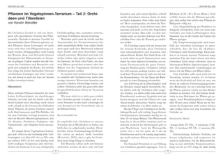 ARACHNE 9(6), 2004                                                                                                                                                                          ARACHNE 9(6), 2004




Pflanzen im Vogelspinnen-Terrarium – Teil 2: Orchi-                                                       brauchen und nach einem Sprühen schnell             Behältern ab 50 x 40 x 40 cm (Breite x Tiefe
                                                                                                          wieder abtrocknen müssen, damit sie nicht           x Höhe) lassen sich die Pflanzen gut pfle-
deen und Tillandsien                                                                                      zu faulen beginnen. Hier sollte man lieber          gen, aber selbst hier reicht eine Pflanze als
von Kerstin Wandtke                                                                                       auf Moos zurückgreifen, um damit die Wur-           Blickpunkt völlig aus.
                                                                                                          zeln einzupacken. Zum Schluss muss alles                Eine Doppellüftung des Behälters ist
                                                                                                          sparsam und nicht zu fest mit Angelsehne            dringend erforderlich, denn nur wenn eine
Bei Orchideen handelt es sich um ökolo-                  Orchideenpflege aber, zumindest zeitweise,       umwickelt werden. Man sollte vor dem Auf-           Or chidee eine hohe Luftfuchtigkeit ohne
gisch sehr spezialisierte Vertreter des Pflan-           sind diese Verhältnisse absolut notwenig.        binden nicht zu viel altes Substrat vom Wur-        Staunässe hat, ist die Gefahr des Faulens der
zenreichs. Deshalb ist absolute Vorsicht bei                  Weiterhin spielt auch die Größe und der     zelballen lösen oder die Wurzeln gar einkür-        Pflanze geringer.
Spontankäufen dieser Pflanzen geboten, zu-               Aktionsradius der Terrarieninsassen eine         zen wollen.                                             Die Temperaturansprüche sind inner-
mal Pflanzen dieser Gattungen oft recht                  nicht unerhebliche Rolle. Eine adulte Poecilo-       Als Unterlage eignet sich am besten nur         halb der einzelnen Gattungen so unter-
teuer und ohne jede Pflegeanleitung ver-                 theria regalis wird einen Blütenstand aufgrund   die neutrale Korkrinde, denn Orchideen              schiedlich, dass ich hier die »Kalthaus-
kauft werden. Demgegenüber steht häufig                  ihrer Größe und ihres Gewichtes recht            sind salzempfindlich und brauchen eher              Orchideen« nicht berücksichtige. Diese wür-
der Wunsch, diese zum Teil recht bizarren                schnell zerstören. Weiterhin wird jede Or-       nährstoffarme Böden. Das Stück Kork soll-           den es in keinem warmen Terrarium lange
Königinnen des Pflanzenreichs im Terrari-                chi dee früher oder später eingehen, wenn        te auch nicht zu groß dimensioniert sein,           aushalten. Für den Laien lassen sich diese
um zu pflegen. Zudem werden fast alle Ver-               ihr Substrat, ihr Herz (der Punkt, aus dem       damit bei einer späteren Entnahme aus un-           Orchideen leicht daran erkennen, dass sie
treter der Orchideen und Bromelien sehr                  neue Blätter geschoben werden) oder ihre         serem Terrarium nicht die ganze Einrich-            überwiegend Bulben (Speicherorgane) besit-
groß und ausladend im Wuchs. Ich möchte                  Blätter von der Vogelspinne laufend als          tung ins Wanken gerät. Orchideen sollten            zen. Das sind konische Verdickungen, an
hier einige der kleiner bleibenden Vertreter             »Toilette« genutzt werden.                       nur sehr sparsam gedüngt werden und wäh-            denen sich die Blätter und Blüten bilden.
verschiedener Gattungen und Arten vorstel-                    Es kommt noch erschwerend hinzu, dass       rend ihrer Wachstumszeit auch nur mit hal-              Eine Orchidee sollte auch nicht fest im
len, mit denen es auch der Laie auf diesem               so ziemlich alle Orchideen eine mehr oder        ber Konzentration. Für die Dauer der Ruhe-          Terrarium verbaut werden. Es ist besser
Gebiet versuchen könnte.                                 weniger intensive Winterruhe brauchen um         periode ist keine Düngung erforderlich.             wenn das Korkstück auf dem sie sitzt, mit
                                                         gesund zu bleiben. Demzufolge können und             Zur Erhöhung der Luftfeuchtigkeit wird          Draht an anderen Einrichtungsgegenstän-
ORCHIDEEN                                                sollten Orchideen nicht das ganze Jahr über      der Behälter einmal täglich übersprüht. Da-         den (Rückwand, Ast etc.) befestigt wird, um
                                                         bei gleichbleibendem Klima im Terrarium          bei dürfen auch die Orchideen nicht verges-         die Pflanze jederzeit wieder aus dem Becken
Diese schönen Pflanzen brauchen bei einer                verbleiben.                                      sen werden, vor allem sollte man nicht den          nehmen zu können. Ein eher kleines Kork-
ho hen Luftfeuchtigkeit ein durchlässiges                     Wie man sieht ist es nicht ganz einfach     Wurzelbereich auslassen. Gesprüht wird am           stück ist zum Befestigen der Pflanze gut ge-
Substrat, viel Licht und viel frische Luft. Da-          eine Orchidee gesund zu halten, und in un-       besten morgens, weil die Pflanze bis zum            eignet. Auch Warmhauspflanzen mögen es
durch kommt man allerdings auch schon                    seren Terrarien ist dies noch schwieriger als    Abend wieder abtrocknet. Nachts steigt die          über Winter etwas kühler. Wenn wir im Ter-
recht schnell an die Grenzen der Haltbarkeit             zum Beispiel auf der Fensterbank oder in         relative Luftfeuchte von allein wieder an.          rarium die Temperatur nicht senken können
dieser Pflanzen, da unsere Terrarien zumeist             der Blumenvitrine.                                   Bei der Pflege von Orchideen ist die Be-        oder wollen, bietet sich eine Entnahme der
recht klein bemessen sind. Die Behälter, die                                                              hältergröße auch sehr wichtig. Sogar kleinere       Orchidee an.
für eine Orchidee in Frage kommen, sind                  KULTURANSPRÜCHE                                  Orchideenarten bekommen häufig bis zu
eher im Bereich »Baumvogelspinnen«, also                                                                  über 20 cm lange Blätter. Der Blütenstand           GEEIGNETE ARTEN
für Avicularia-, Poecilotheria-, Psalmopoeus- oder       Es empfiehlt sich, Orchideen in unseren          kann bis zu 50 cm Höhe erreichen und von
Tapinauchenius- und Iridopelma-Arten anzusie-            Terrarien nur in Blockkultur zu halten, das      aufrecht stehend bis überhängend gibt es            Aerangis biloba (IV-VII), A. brachycarpa (VIII-
deln.                                                    heißt dass sie aufgebunden werden. Hierü-        jede Wuchsform. Auch die Blütengröße                XI), A. kotschyana (IX-XI), A. mooreana (IX-
    Bei einigen dieser Vogelspinnen-Gattun-              ber habe ich im Zusammenhang mit Brome-          reicht von 1 cm bis mehr als 5 cm im                XI).
gen und -Arten ist eine beständig hohe Luft-             lien schon an anderer Stelle berichtet           Durchmesser und ist oft traubig angeordnet,            Kleinwüchsige, hübsche Orchidee, am
feuchtigkeit von über 60% bis zu 90% oder                (WANDTKE , 2003), aber es gibt bei Orchi-        das heißt mehrere Blüten sitzen an einem            besten aufgebunden und temperiert bis
gar nahezu 100% rF, bei einer häufig noch                deen noch einige Dinge zu beachten.              Stängel.                                            warm zu kultivieren. Für die Blütenentwick-
recht niedrigen Temperatur, aber eher hin-                   Die Wurzeln sollten nicht mit Substrat           Ein Standard-Terrarium ist zur Haltung          lung ist eine nächtliche Temperaturabsen-
derlich als fördernd. Für eine erfolgreiche              um wickelt werden, da diese sehr viel Luft       von Orchideen gänzlich ungeeignet. Erst in          kung von bis zu 10°C nötig. Sie blüht häufig
                                                     4                                                                                                    5
 