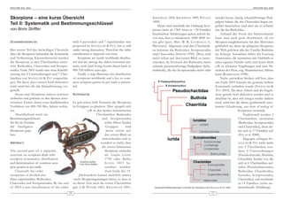 ARACHNE 9(6), 2004                                                                                                                                                                                 ARACHNE 9(6), 2004




Skorpione – eine kurze Übersicht                                                                          KRAEPELIN 1894, KRAEPELIN 1899, POCOCK                       minder breite, häufig schaufelförmige Pedi-
                                                                                                          1890)                                                        palpen haben, die der Chactoidea liegen un-
Teil II: Systematik und Bestimmungsschlüssel                                                                 Heute sind innerhalb der Ordnung Scor-                    gefähr dazwischen sind aber nie so schmal,
von Boris Striffler                                                                                       piones mehr als 1300 Arten in ~20 Familien                   wie die der Buthoidea.
                                                                                                          beschrieben. Schätzungen gehen jedoch da-                         Anhand der Form der Scherenhände
                                                                                                          von aus, dass es mindestens 3000-4000 Ar-                    kann man auch grob abschätzen, ob ein
ZUSAMMENFASSUNG                                      with 4 parvorders and 7 superfamilies was            ten gibt (pers. Mitt. W. R. L OURENÇO, L.                    Skorpion möglicherweise für den Menschen
                                                     proposed by S OLEGLAD & F ET , but is still          PRENDINI). Allgemein sind drei Überfamili-                   gefährlich ist, denn die giftigsten Skorpione
Der zweite Teil der dreiteiligen Übersicht           under strong discussion. Therefore the older         en bekannt: die Buthoidea, Scorpionoidea                     der Welt gehören alle der Familie Buthidae
über die Skorpione behandelt die Systematik          classification is depicted over here.                und Chactoidea (SISSOM 1990). Diese sind                     an. Einzige Ausnahme bildet die Gattung
und Verbreitung. Klassischerweise werden                 Scorpions are nearly worldwide distribu-         meist schon auf den ersten Blick zu unter-                   Hemiscorpius, die zusammen mit Habibiella in
die Skorpione in drei Überfamilien unter-            ted and are among the oldest terrestrial ani-        scheiden, da Vertreter der Buthoidea meist                   einer eigenen Familie steht und deren Stich
teilt: Buthoidea, Chactoidea and Scorpio-            mals, with land living fossils dated back to         schmale pinzettenförmige Pedipalpen (Sche-                   z.B. zu schweren Vergiftungen und zum Ab-
noidea. Ende 2003 wurde eine neue Klassifi-          400-350 million years ago.                           renhände), die der Scorpionoidea mehr oder                   sterben der Haut, sog. Hautnekrosen, führen
zierung mit 4 Unterordnungen und 7 Über-                 Finally a map illustrates the distribution                                                                    kann (RADMANESH 1998).
familien von SOLEGLAD & FET vorgeschla-              of scorpions worldwide and a key to com-                                                                               Nicht unerwähnt bleiben soll hier, dass
gen. Da diese aber zurzeit heiß diskutiert           mon scorpion genera in pet trade is presen-                                                                       seit Ende 2003 beinahe die gesamte höhere
wird, wird hier die alte Klassifizierung vor-        ted.                                                                                                              Systematik verändert wurde (SOLEGLAD &
gestellt.                                                                                                                                                               FET 2003). Da diese Arbeit und die Ergeb-
    Heute sind Skorpione nahezu weltweit             SYSTEMATIK                                                                                                        nisse gerade heiß diskutiert werden und es
verbreitet und gehören zu den ältesten terre-                                                                                                                          absehbar ist, dass sich einiges wieder ändern
strischen Tieren, deren erste landlebenden           Es gab schon früh Versuche die Skorpione                                                                          wird, wird hier die ältere, größtenteils aner-
Vorfahren vor 400-350 Mio. Jahren auftra-            in Gruppen zu gliedern. Dies spiegelt sich                                                                        kannte Gliederung, aus dem »Catalog of
ten.                                                             z.B. in den beiden bekanntesten                                                                                         Scorpions« verwandt.
    Abschließend wird ein                                                     Überfamilien Bu thoidea                                                                                         Traditionell werden 3
Bestimmungsschlüssel                                                             und Scorpionoidea                                                                                        Überfamilien anerkannt
für die im Zoohan-                                                                 wider. Diese beiden                                                                                    (Buthoidea, Scorpionoidea
del häu fig sten                                                                    Grup pen       sind                                                                                   und Chactoidea), diese tei-
Skorpione gege-                                                                     meist schon auf                                                                                       len sich in 17 Familien auf
ben.                                                                               den ersten Blick zu                                                                                    (FET et al. 2000).
                                                                                 unterscheiden und so                                                                                         Dagegen schlagen SO-
ABSTRACT                                                                        wundert es nicht, dass                                                                                    LEGLAD & FET nicht mehr
                                                                                 die ersten be kannten                                                                                    nur 3 Überfamilien son-
The second part of a tripartite                                                    Skorpione entweder                                                                                     dern 4 Unterordnungen
overview on scorpions deals with                                                   als Scor pio L INNÉ                                                                                    (Pseudochactida, Buthida,
scorpion systematics, dis tribution                                                1754 oder Buthus                                                                                       Chaerilida, Iurida) vor, die
                                                          Iomachus politus
and determination of common scor-                         Foto: Boris Striffler
                                                                                   L EACH 1815 be -                                                                                       sich in 6 Überfamilien auf-
pion genera in pet trade.                                                          zeichnet wur den.                                                                                      teilen (Pseudochactoidea,
    Classically the order                                                          Zum Ende des 19.                                                                                       Buthoidea, Chaeriloidea,
scorpiones is divided into                               Jahrhunderts ka men natürlich im mer                                                                                             Iuroidea, Scorpionoidea,
three superfamilies: Buthoidea,                       mehr Skorpionsgattungen hinzu, so dass es                                                                                           Chactoidea) und nochmals
Chactoidea and Scorpionoidea. By the end             zu dieser Zeit auch die ersten Übersichten                                                                                           in 14 Familien (siehe ne -
of 2003 a new classification of the order            gab (z.B. P ETERS 1861, K RAEPELIN 1891,              Verwandtschaftsbeziehungen innerhalb der Skorpione nach SOLEGLAD & FET 2003    benstehende Abbildung).
                                                10                                                                                                            11
 