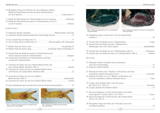 ARACHNE 9(6), 2004                                                                                                                                                                                                                                         ARACHNE 9(6), 2004



10. Beweglicher Finger der Chelizere mit zwei subdistalen Zähnen;
    Patella der Scherenhand mit mehr als einem Trichobothrium
    auf der Unterseite . . . . . . . . . . . . . . . . . . . . . . . . . . . . . . . . . . . . . . . . . . . . .Caraboctinae 11

11. Patella der Scherenhand mit 4 Trichobothrien auf der Unterseite . . . . . . . . . . .Hadruroides
12. Patella der Scherenhand mit mehr als 4 Trichobothrien (13 bis 27)
    auf der Unterseite . . . . . . . . . . . . . . . . . . . . . . . . . . . . . . . . . . . . . . . . . . . . . . . . . . .Hadrurus

SCORPIONOIDEA
                                                                                                                                         Abb. 5: Patelle von Heterometrus mit nur 3 Trichobothrien.              Abb. 6: Patella von Pandinus mit mehr als 12 Trichobothrien.
                                                                                                                                         Foto: Boris Striffler                                                   Foto: Boris Striffler
13. Subaculear Stachel vorhanden . . . . . . . . . . . . . . . . . . . . . . . . . . .Diplocentridae (z.B. Nebo)
14. Subaculear Stachel fehlend; häufig breite schaufelartige Scheren . . . . . . . . . . . . . . . . . . .15                           26. Stridulationsorgan zwischen den Coxen der Scherenhand
                                                                                                                                           und Bein I . . . . . . . . . . . . . . . . . . . . . . . . . . . . . . . . . . . . . . . . . . . . . . . . . . . . . . . . . . . . . .29
15. Ein ventraler Kiel auf Metasoma I-V . . . . . . . . . . . . . . . . . . . . . . . . . . . . . . . . . . . . . . . . .17
16. Zwei ventrale Kiele auf Metasoma I-V . . . . . . . . . . . . .Hemiscorpiidae (z.B. Hemiscorpius)                                   27. Ventrale Seite der Patella mit nur 3 Trichobothrien . . . . . . . . . . . . . . . . . . . . . . . . . .Scorpio
                                                                                                                                       28. Ventrale Seite der Patella mehr als 3 Trichobothrien;
17. Distales Ende des Tarsus rund . . . . . . . . . . . . . . . . . . . . . . . . . . . . . . . . . . .Scorpionidae 25                     Medianaugen meist weit zurück liegend . . . . . . . . . . . . . . . . . . . . . . . . . . . .Opistophthalmus
18. Distales Ende des Tarsus eckig . . . . . . . . . . . . . . . . . . .Liochelidae (früher Ischnuridae) 19
                                                                                                                                       29. Ventrale Seite der Patella mit nur 3 Trichobothrien (Abb. 5) . . . . . . . . . . . . . . .Heterometrus
19. Ventrale Seite der Patella mit mehr als 4 Trichobothrien und                                                                       30. Ventrale Seite der Patella mit mehr als 12 Trichobothrien (Abb. 6) . . . . . . . . . . . .Pandinus
    Chela external mit mehr als 4 Trichobothrien . . . . . . . . . . . . . . . . . . . . . . . . . . . .Hadogenes
20. Ventrale Seite der Patella mit 4 Trichobothrien und Chela                                                                          BUTHOIDEA
    external mit 4 Trichobothrien . . . . . . . . . . . . . . . . . . . . . . . . . . . . . . . . . . . . . . . . . . . . . . .21
                                                                                                                                       31. Subaculear Stachel vorhanden (nur amerikanische
21. Unterseite des Tarsus mit zwei seitlichen Reihen Haare und                                                                             Arten hier berücksichtigt) . . . . . . . . . . . . . . . . . . . . . . . . . . . . . . . . . . . . . . . . . . . . . . . . . .33
    einer medianen Reihe Zähnchen (Abb. 3) . . . . . . . . . . . . . . . . . . . . . . . . . . . . . . . .Iomachus                     32. Subaculear Stachel fehlend . . . . . . . . . . . . . . . . . . . . . . . . . . . . . . . . . . . . . . . . . . . . . . . . .35
22. Unterseite des Tarsus nur mit zwei seitlichen Reihen Haare
    oder Borsten, die mediane Reihe Zähnchen fehlt . . . . . . . . . . . . . . . . . . . . . . . . . . . . . . .23                     33. Schneide der Schere mit 7-9 Reihen von Körnchen und vielen
                                                                                                                                           zusätzlichen seitlichen Körnchen besetzt . . . . . . . . . . . . . . . . . . . . . . . . . . . . . . .Centruroides
23. Unterseite des Tarsus nur mit zwei seitlichen                                                                                      34. Schneide der Schere mit 12-17 Reihen von Körnchen und
    Reihen Borsten (Abb. 4) . . . . . . . . . . . . . . . . . . . . . . . . . . . . . . . . . . . . . . . . . .Opisthacanthus              nicht mit zusätzlichen seitlichen Körnchen besetzt . . . . . . . . . . . . . . . . . . . . . . . . . . .Tityus
24. Unterseite des Tarsus nur mit zwei seitlichen Reihen Haare . . . . . . . . . . . . . . . . . .Liocheles
                                                                                                                                       35. Carapax ohne deutliche Kiele, meist fein granu-
25. Kein Stridulationsorgan zwischen den Coxen der Scherenhand und Bein I . . . . . . . . . .27                                            liert (Teil I, S. 27, Abb. 13) . . . . . . . . . . . . . . . . . . . . . . . . . . . . . . . . . . . . . . . . . . .Parabuthus
                                                                                                                                       36. Carapax deutlich mit deutlichen Kielen . . . . . . . . . . . . . . . . . . . . . . . . . . . . . . . . . . . . . . .37

                                                                                                                                       37. Mesosoma Segmente I und II mit fünf Kielen, meist Meta-
                                                                                                                                           soma Segment V schwarz (Teil I, S. 25, Abb. 3) . . . . . . . . . . . . . . . . . . . . . . . . . . . . .Leiurus
                                                                                                                                       38. Mesosoma Segmente I und II mit drei oder weniger Kielen
                                                                                                                                           (Teil I, S. 25, Abb. 4) . . . . . . . . . . . . . . . . . . . . . . . . . . . . . . . . . . . . . . . . . . . . . . . . . . . . . .39

                                                                                                                                       39. Beweglicher Finger der Schere mit 3 Körnchen unter dem
  Abb. 3: Tarsus von Iomachus politus, mit medianer Zähn-             Abb. 4: Tarsus von Opisthacanthus punctulatus.
  chenreihe. Foto: Boris Striffler                                    Foto: Boris Striffler                                                terminalen Körnchen . . . . . . . . . . . . . . . . . . . . . . . . . . . . . . . . . . . . . . . . . . . . . . . . . . . . .41
                                                                14                                                                                                                                         15
 