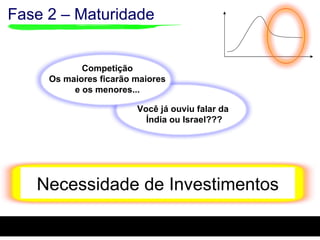 Fase 2 – Maturidade Você já ouviu falar da Índia ou Israel??? Necessidade de Investimentos Competição Os maiores ficarão maiores e os menores... 