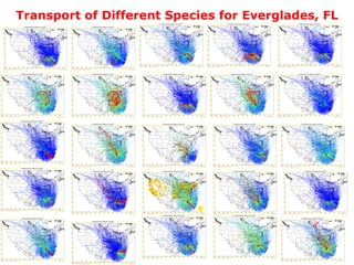 Transport of Different Species for Everglades, FL 