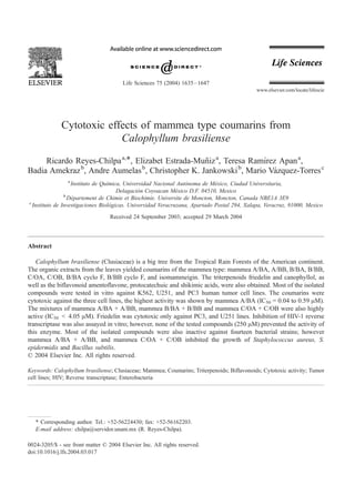 Cytotoxic effects of mammea type coumarins from 
Calophyllum brasiliense 
Ricardo Reyes-Chilpaa,*, Elizabet Estrada-Mun˜iza, Teresa Ramı´rez Apana, 
Badia Amekrazb, Andre Aumelasb, Christopher K. Jankowskib, Mario Va´zquez-Torresc 
a Instituto de Quı´mica, Universidad Nacional Auto´noma de Me´xico, Ciudad Universitaria, 
Delagacio´n Coyoacan Me´xico D.F. 04510, Mexico 
bDe´partement de Chimie et Biochimie. Universite de Moncton, Moncton, Canada NBE1A 3E9 
c Instituto de Investigaciones Biolo´gicas. Universidad Veracruzana, Apartado Postal 294, Xalapa, Veracruz, 91000, Mexico 
Received 24 September 2003; accepted 29 March 2004 
Abstract 
Calophyllum brasiliense (Clusiaceae) is a big tree from the Tropical Rain Forests of the American continent. 
The organic extracts from the leaves yielded coumarins of the mammea type: mammea A/BA, A/BB, B/BA, B/BB, 
C/OA, C/OB, B/BA cyclo F, B/BB cyclo F, and isomammeigin. The triterpenoids friedelin and canophyllol, as 
well as the biflavonoid amentoflavone, protocatechuic and shikimic acids, were also obtained. Most of the isolated 
compounds were tested in vitro against K562, U251, and PC3 human tumor cell lines. The coumarins were 
cytotoxic against the three cell lines, the highest activity was shown by mammea A/BA (IC50 = 0.04 to 0.59 AM). 
The mixtures of mammea A/BA + A/BB, mammea B/BA + B/BB and mammea C/OA + C/OB were also highly 
active (IC50 < 4.05 AM). Friedelin was cytotoxic only against PC3, and U251 lines. Inhibition of HIV-1 reverse 
transcriptase was also assayed in vitro; however, none of the tested compounds (250 AM) prevented the activity of 
this enzyme. Most of the isolated compounds were also inactive against fourteen bacterial strains; however 
mammea A/BA + A/BB, and mammea C/OA + C/OB inhibited the growth of Staphylococcus aureus, S. 
epidermidis and Bacillus subtilis. 
D 2004 Elsevier Inc. All rights reserved. 
Keywords: Calophyllum brasiliense; Clusiaceae; Mammea; Coumarins; Triterpenoids; Biflavonoids; Cytotoxic activity; Tumor 
cell lines; HIV; Reverse transcriptase; Enterobacteria 
* Corresponding author. Tel.: +52-56224430; fax: +52-56162203. 
E-mail address: chilpa@servidor.unam.mx (R. Reyes-Chilpa). 
0024-3205/$ - see front matter D 2004 Elsevier Inc. All rights reserved. 
doi:10.1016/j.lfs.2004.03.017 
www.elsevier.com/locate/lifescie 
Life Sciences 75 (2004) 1635–1647 
 