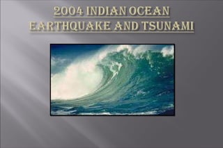 report writing on tsunami 2004