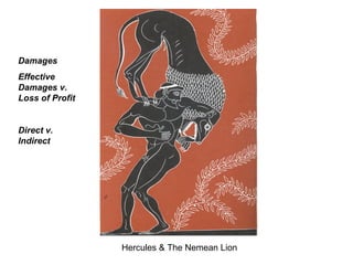 Hercules & The Nemean Lion Damages Effective Damages v. Loss of Profit Direct v. Indirect 