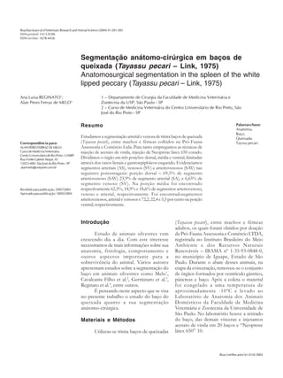 Brazilian Journ al of Veterinary Research and Animal Science (2004) 41:281-285
ISSN printed: 1413-9596
ISSN on-line: 1678-4456

281

Segmentação anátomo-cirúrgica em baços de
queixada (Tayassu pecari – Link, 1975)
Anatomosurgical segmentation in the spleen of the white
lipped peccary (Tayassu pecari – Link, 1975)
Ana Luisa REGINATO1;
Alan Peres Ferraz de MELO2

1 – Departamento de Cirurgia da Faculdade de Medicina Veterinária e
Zootecnia da USP, São Paulo - SP
2 – Curso de Medicina Veterinária do Centro Universitário de Rio Preto, São
José do Rio Preto - SP

Resumo
Correspondência para:
ALAN PERES FERRAZ DE MELO
Curso de Medicina Veterinária
Centro Universitário de Rio Preto - UNIRP
Rua Yvette Gabriel Atique, 45
15025-400 - São José do Rio Preto - SP
alanmelo@unirpnet.com.br

Recebido para publicação: 29/07/2003
Aprovado para publicação: 18/05/2004

Estudamos a segmentação arterial e venosa de trinta baços de queixada
(Tayassu pecari), entre machos e fêmeas colhidos na Pró-Fauna
Assessoria e Comércio Ltda. Para tanto empregamos as técnicas de
injeção de acetato de vinila, injeção de Neoprene látex 650 corado.
Dividimos o órgão em três porções: dorsal, média e ventral, limitadas
através dos vasos lienais e gastroepiplóicos esquerdo. Evidenciamos
segmentos arteriais (AS), venosos (SV) e arteriovenosos (SAV) nas
seguintes porcentagens: porção dorsal – 69,5% de segmento
arteriovenoso (SAV) 23,9% de segmento arterial (SA), e 6,65% de
segmento venoso (SV). Na porção média foi encontrado
respectivamente 62,5%, 18,9% e 18,6% de segmentos arteriovenoso,
venoso e arterial, respectivamente. Foi encontradosegmentos
arteriovenosos, arterial e venosos e 72,2, 22,4 e 5,5 por cento na porção
ventral, respectivemente.

Introdução
Estudo de animais silvestres vem
crescendo dia a dia. Com este interesse
necessitamos de mais informações sobre sua
anatomia, fisiologia, comportamento e
outros aspectos importante para a
sobrevivência do animal. Vários autores
apresentam estudos sobre a segmentação do
baço em animais silvestres como Melo1,
Cavalcante-Filho et al.2, Germinaro et al.3,
Reginato et al.4, entre outros.
É pensando neste aspecto que se visa
no presente trabalho o estudo do baço do
queixada quanto a sua segmentação
anátomo-cirúrgica.
Materiais e Métodos
Utilizou-se trinta baços de queixadas

Palavras-chave:
Anatomia.
Baço.
Queixada.
Tayssu pecari.

(Tayassu pecari), entre machos e fêmeas
adultos, os quais foram obtidos por doação
da Pró-Fauna Assessoria e Comércio LTDA,
registrada no Instituto Brasileiro do Meio
Ambiente e dos Recursos Naturais
Renováveis – IBAMA nº 1-35-93-0848-0,
no município de Iguape, Estado de São
Paulo. Durante o abate desses animais, na
etapa da evisceração, removeu-se o conjunto
de órgãos formados por ventrículo gástrico,
pâncreas e baço. Após a coleta o material
foi congelado a uma temperatura de
aproximadamente -10ºC e levado ao
Laboratório de Anatomia dos Animais
Domésticos da Faculdade de Medicina
Veterinária e Zootecnia da Universidade de
São Paulo. No laboratório houve a retirado
do baço, das demais vísceras e injetamos
acetato de vinila em 20 baços e “Neoprene
látex 650” 10.

Braz J vet Res anim Sci 41(4) 2004

 