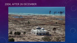 2004, AFTER 26 DECEMBER
 